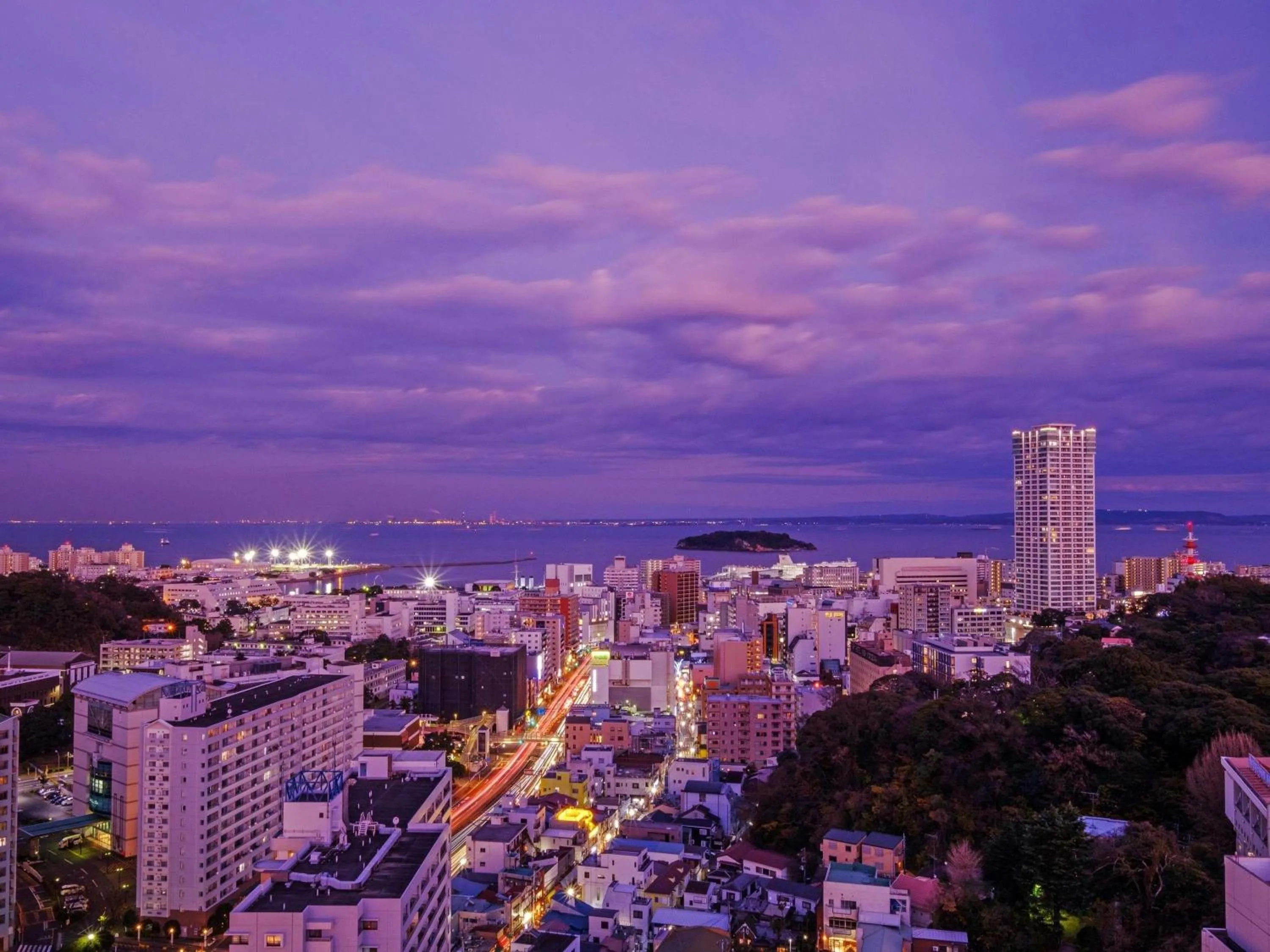Standard Double Room - Non-Smoking in Mercure Yokosuka