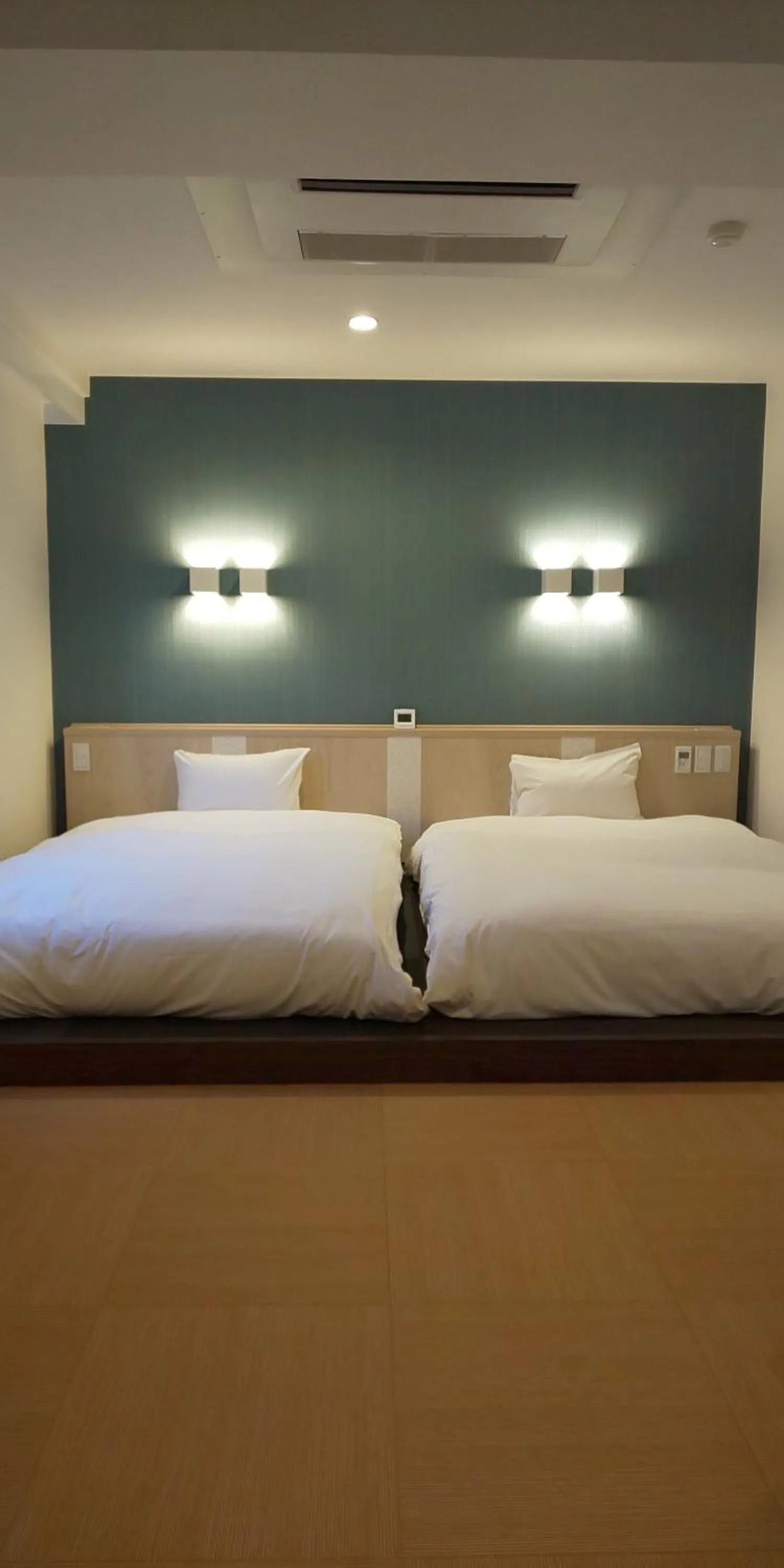 Deluxe Twin Room in Ueno First City Hotel