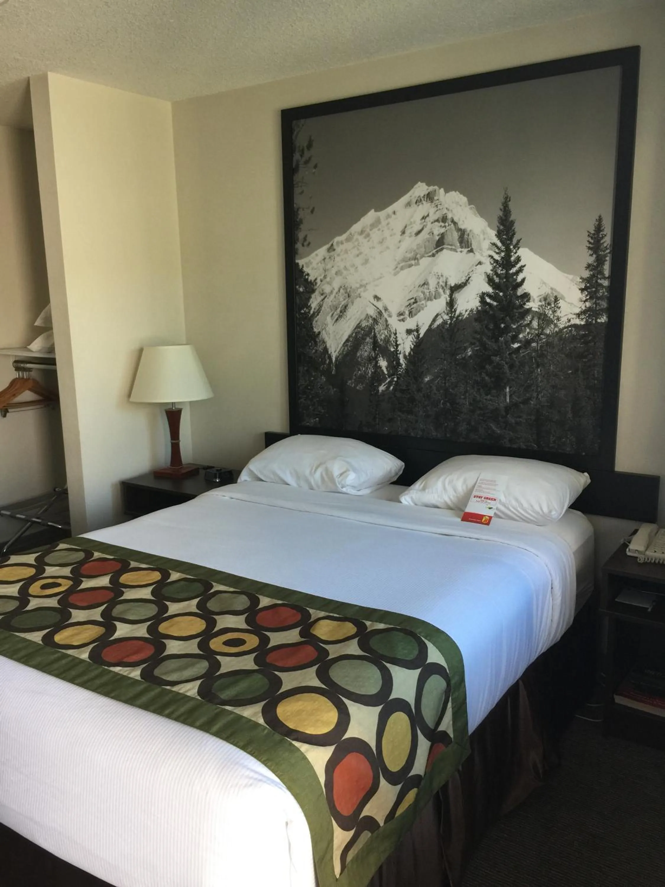 Queen Room - Disability Access - Non-Smoking in Super 8 by Wyndham Kelowna BC