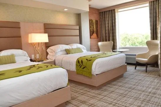 Deluxe Double Room in The Fredonia Hotel