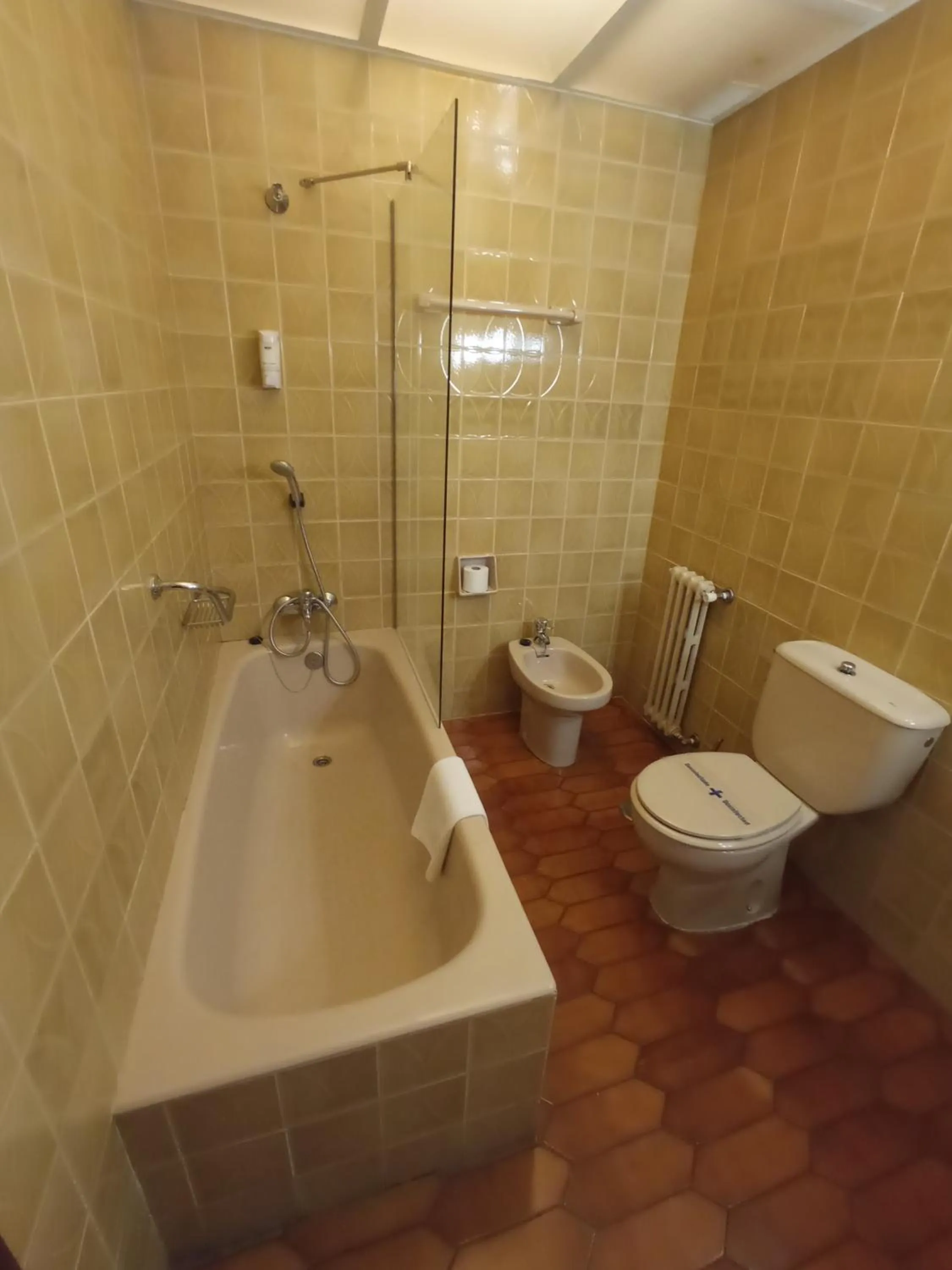 Superior Twin Room with Balcony in Hotel ELE Acueducto