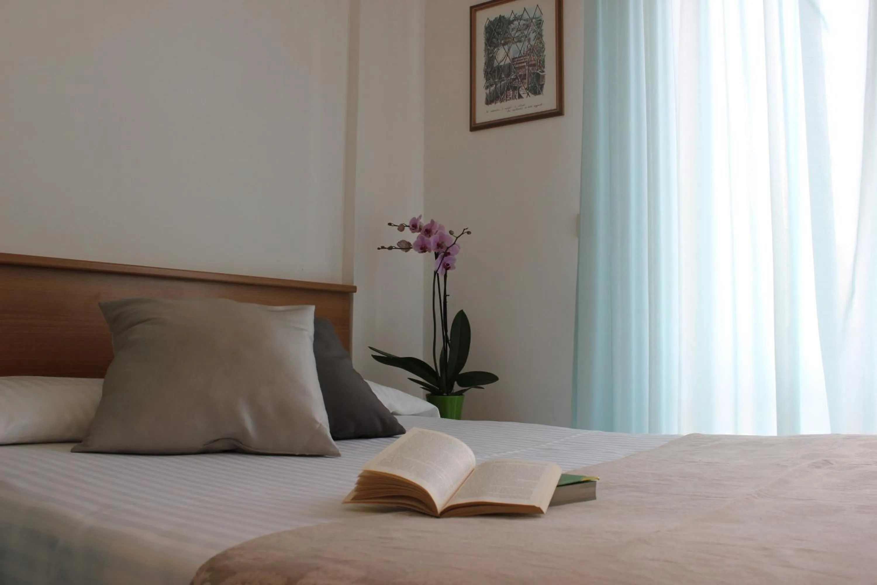 Single Room in Hotel Miramare