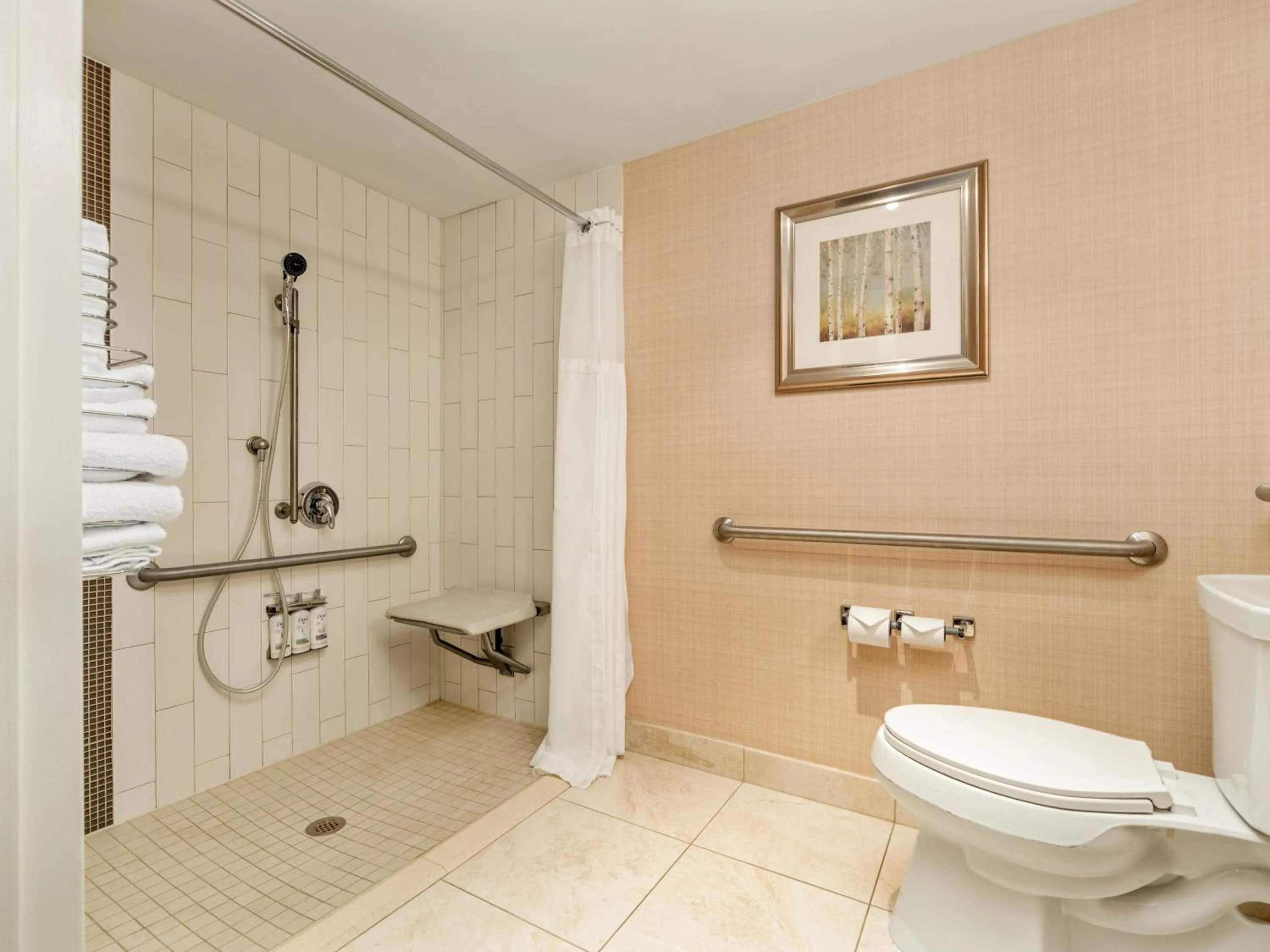 Double Room - Disability Access/Roll-In Shower in Holiday Inn Conference Centre Edmonton South by IHG