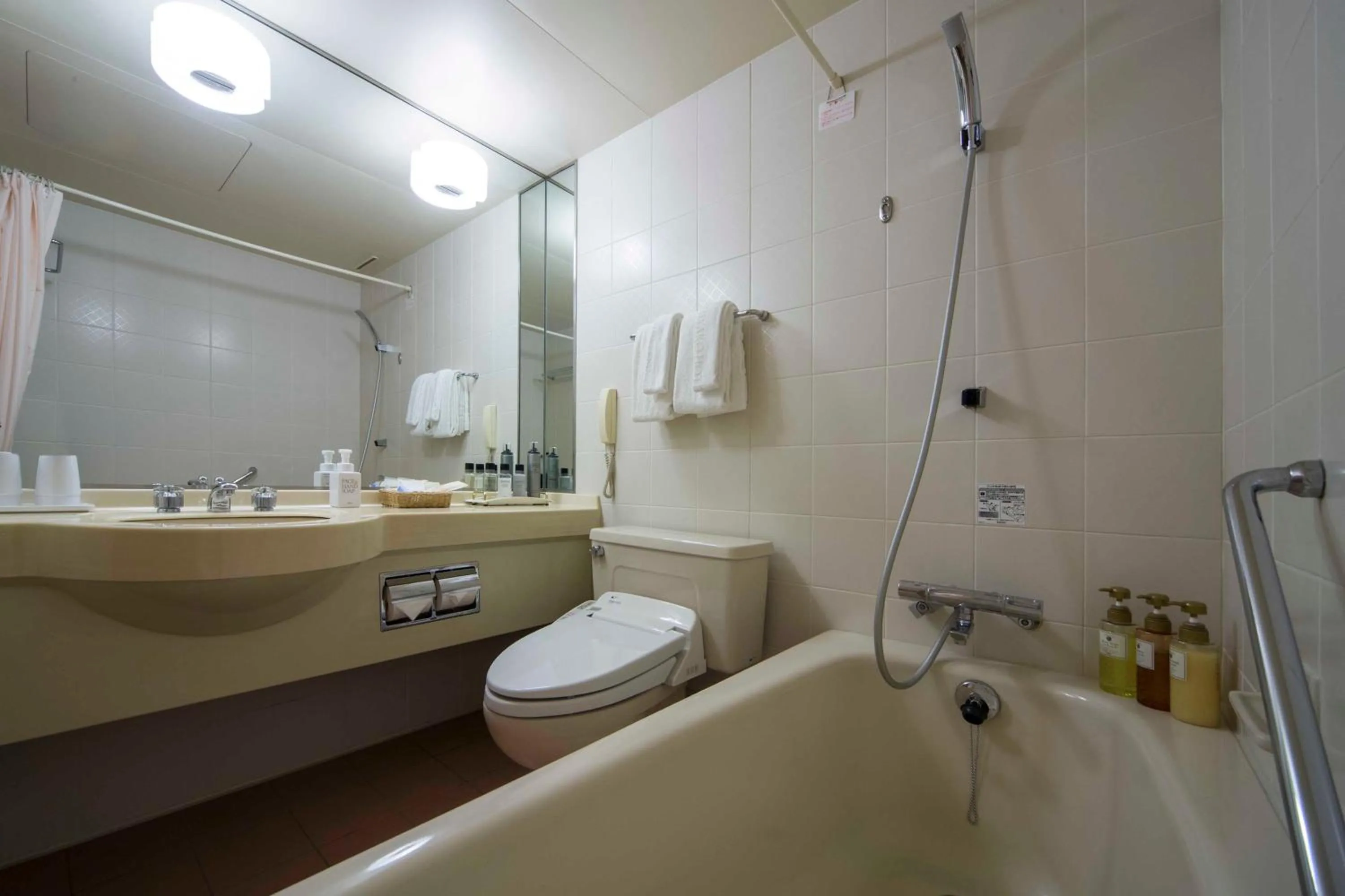 Double Room (1 Adult) - single occupancy - Non-Smoking in Miyako Hotel Yokkaichi