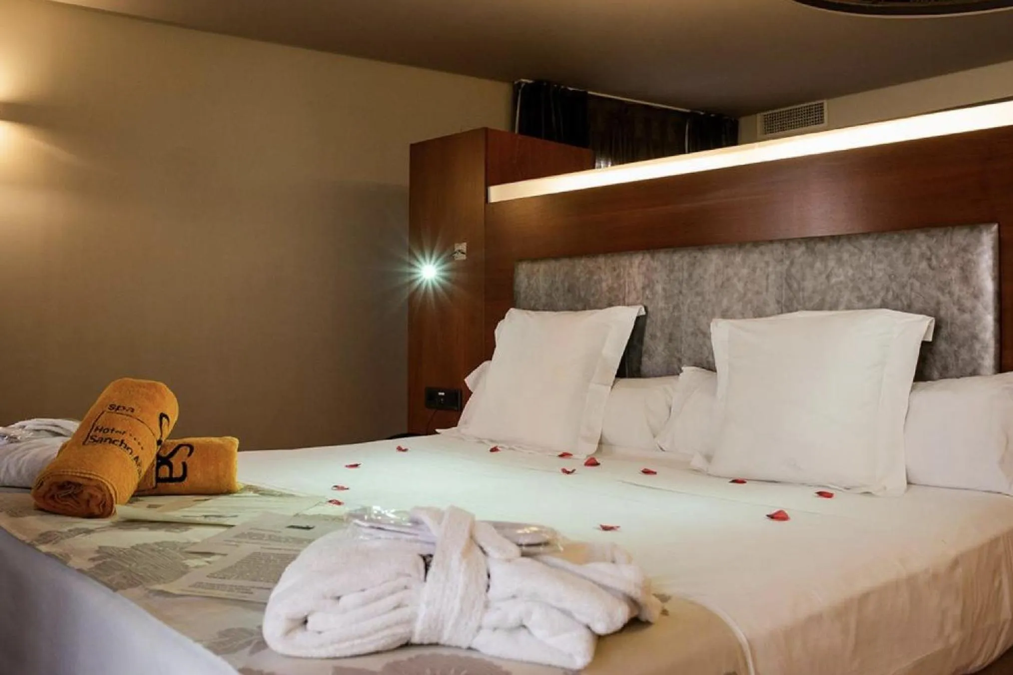 Junior Suite in Hotel Sancho Abarca Petit SPA