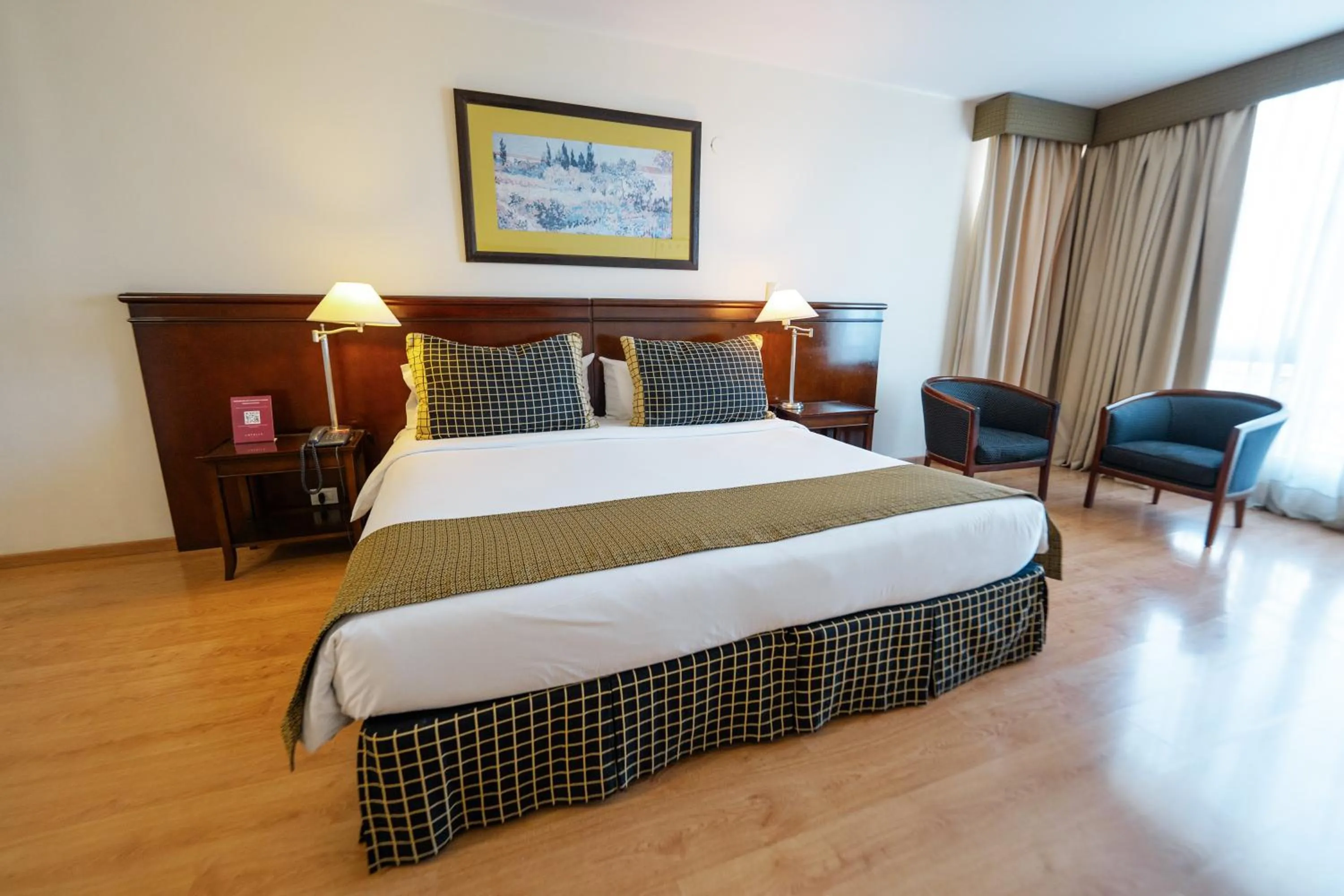 Deluxe Double Room in Amérian Mendoza