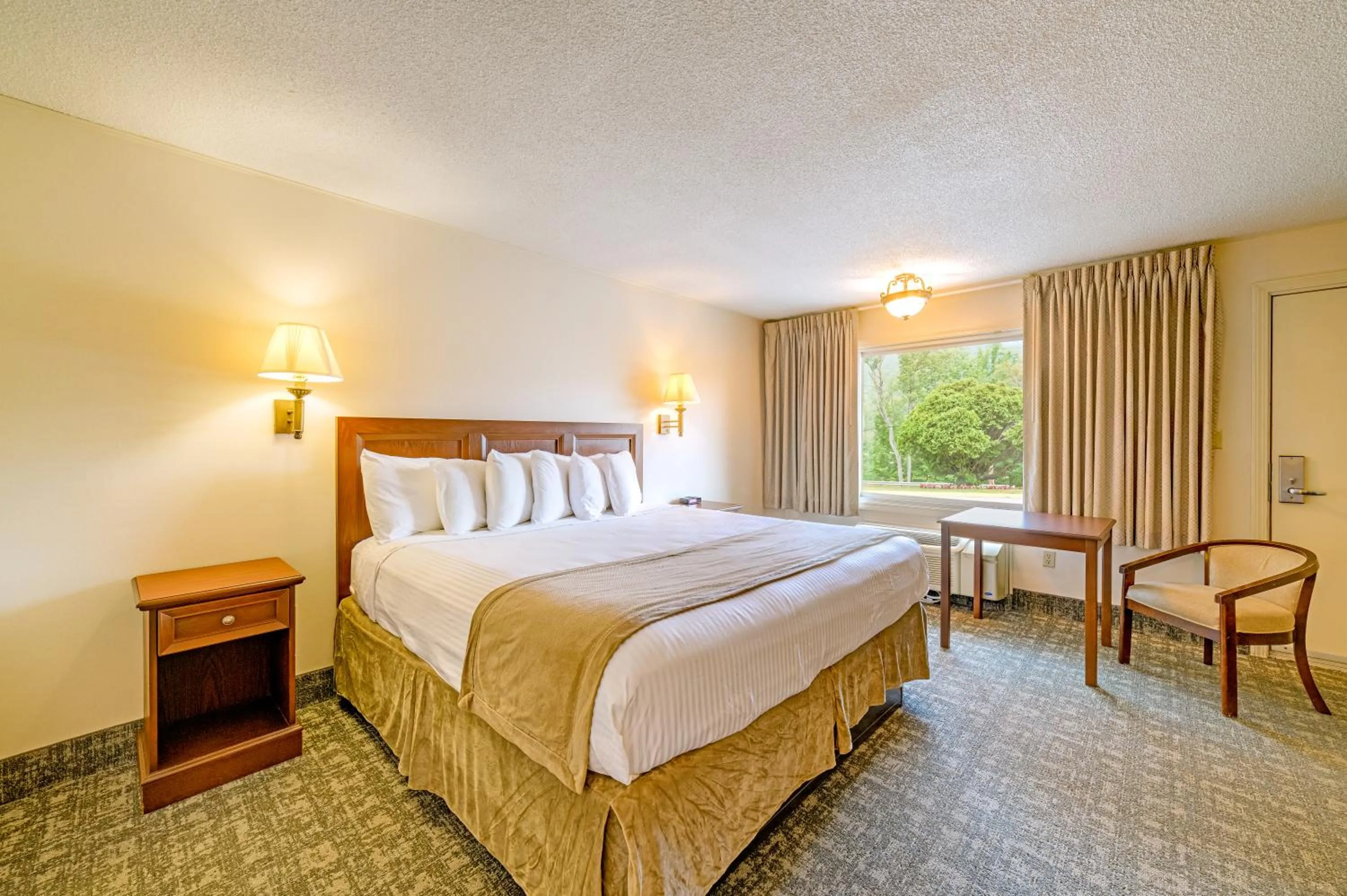 Single King, Non-Smoking  - single occupancy in Town & Country Inn & Resort