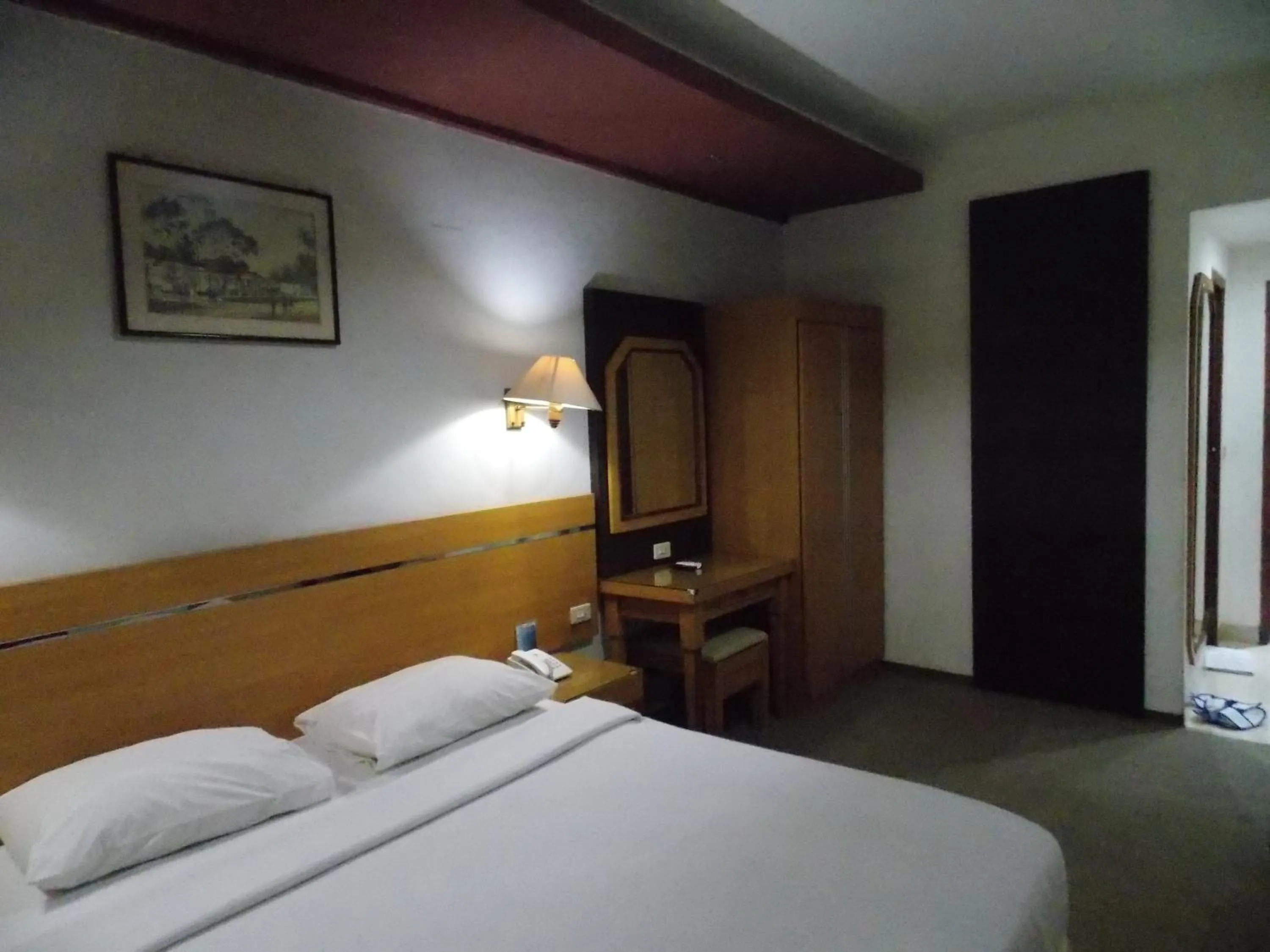 Deluxe Double Room in Puri Mega Hotel