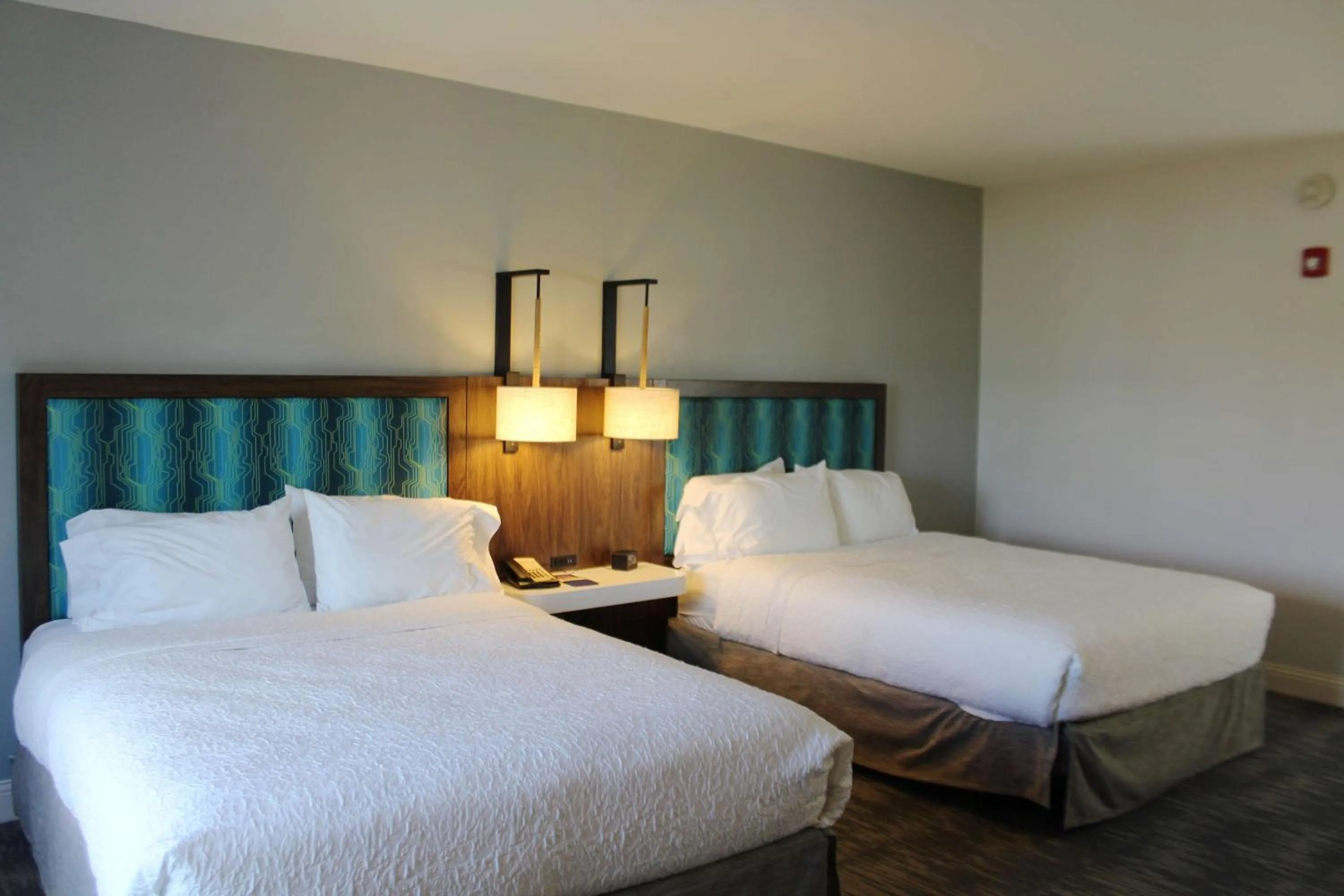Premium Queen Studio with Two Queen Beds - Non-Smoking in Hampton Inn & Suites Sarasota / Bradenton - Airport