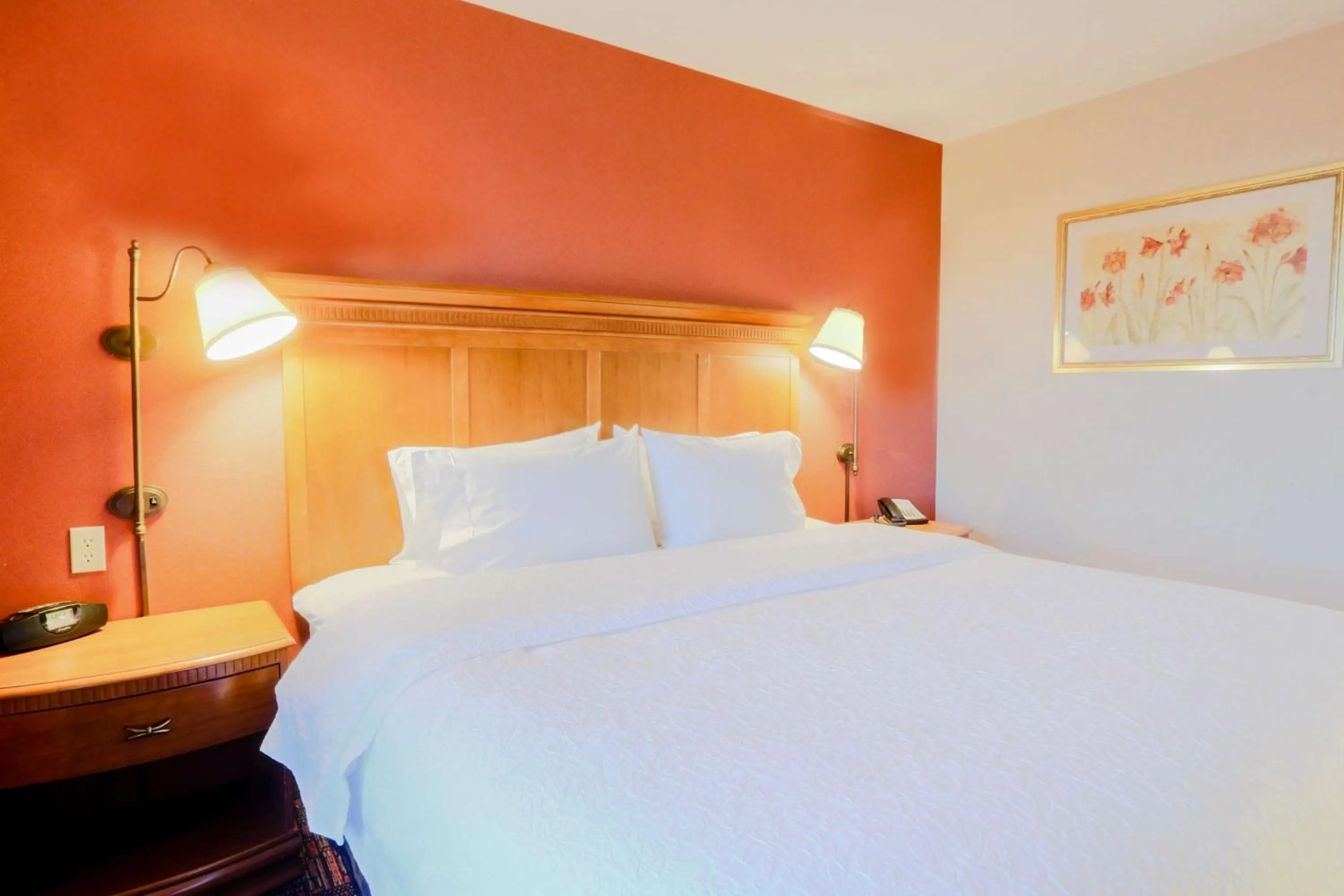 King Studio Suite - Non-Smoking in Hampton Inn & Suites by Hilton Tomball Houston NW