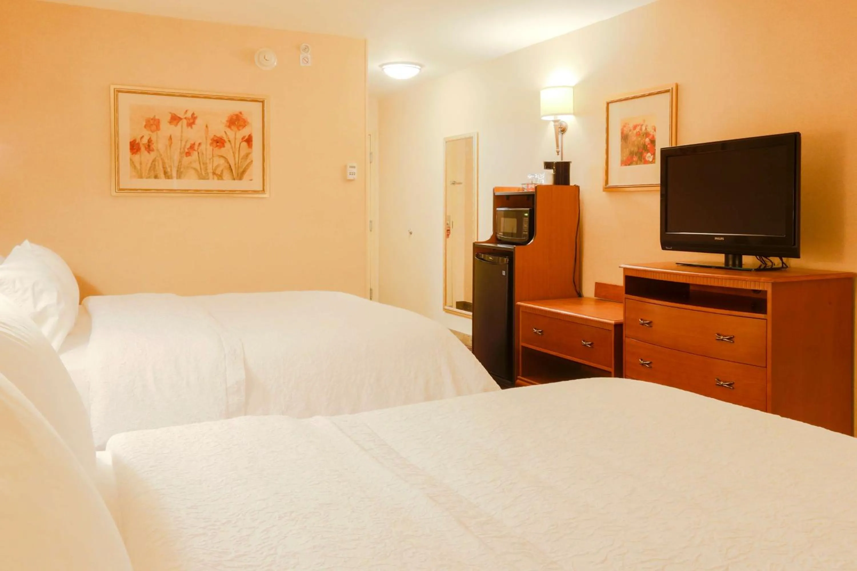 Queen Room with Two Queen Beds - Mobility and Hearing Access/Non-Smoking in Hampton Inn & Suites by Hilton Tomball Houston NW