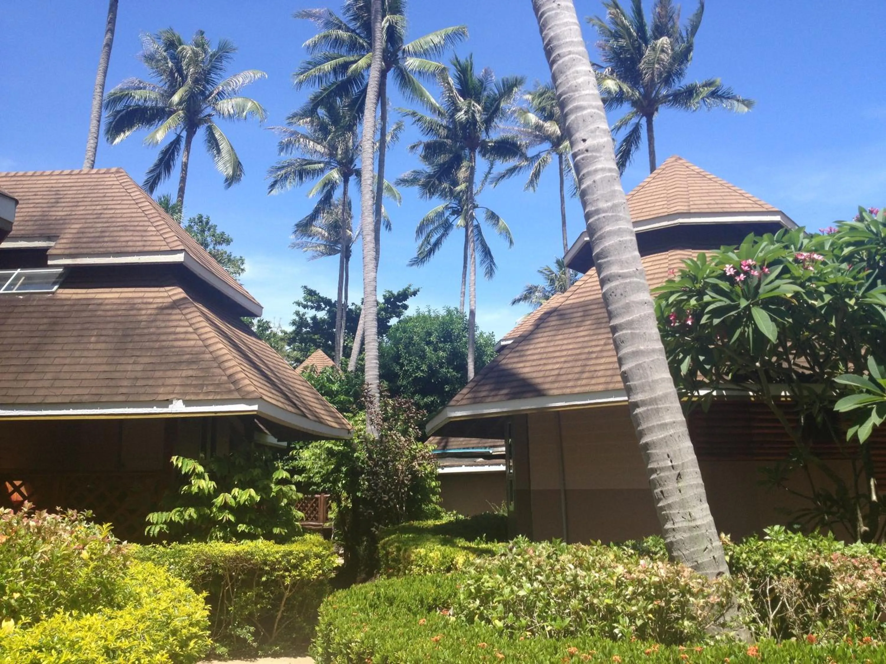 Superior Double or Twin Room in Koh Tao Coral Grand Resort