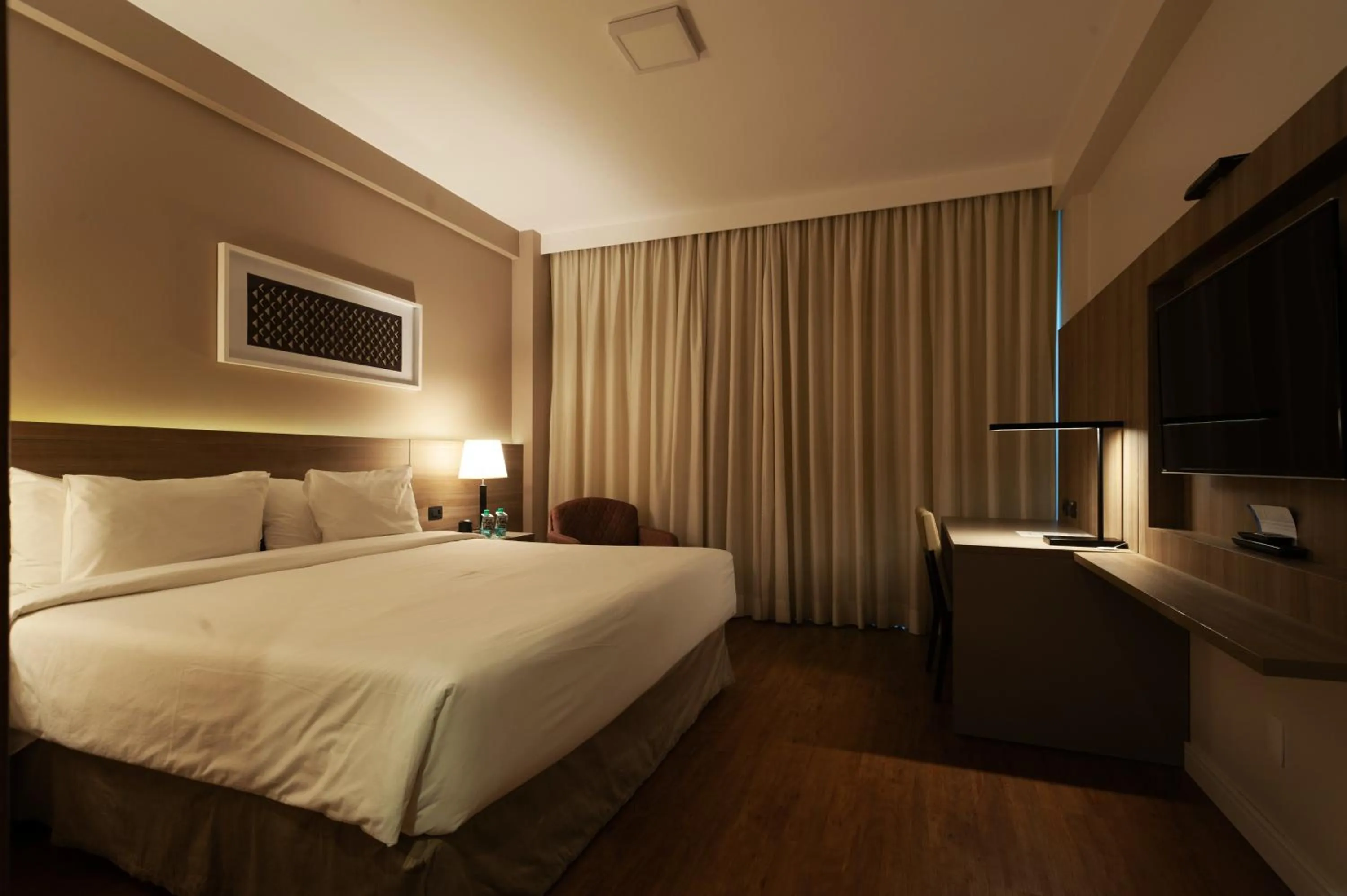 Superior King Room in Radisson Hotel Anápolis