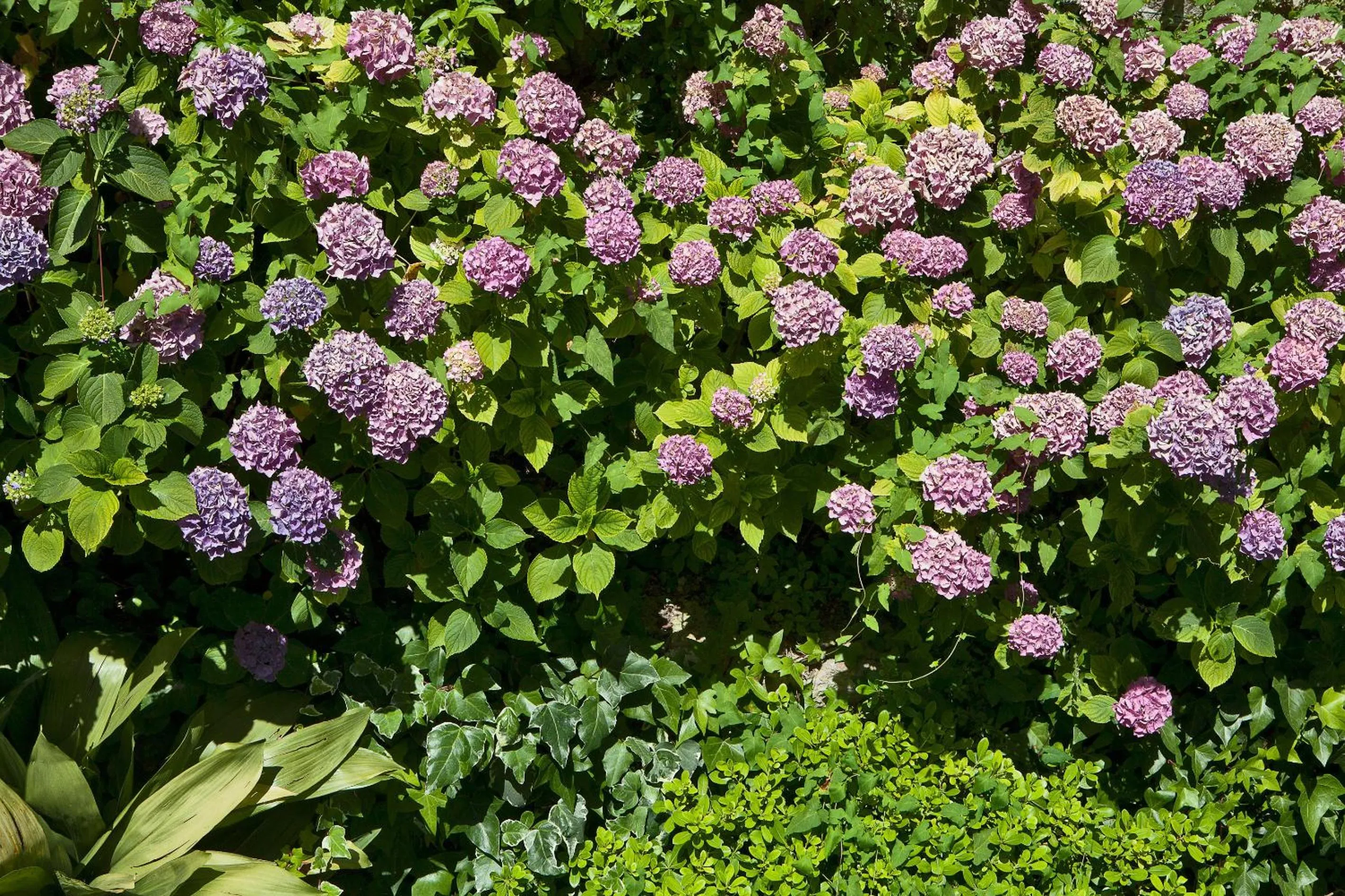 Classic Double Room in Hotel Della Piccola Marina