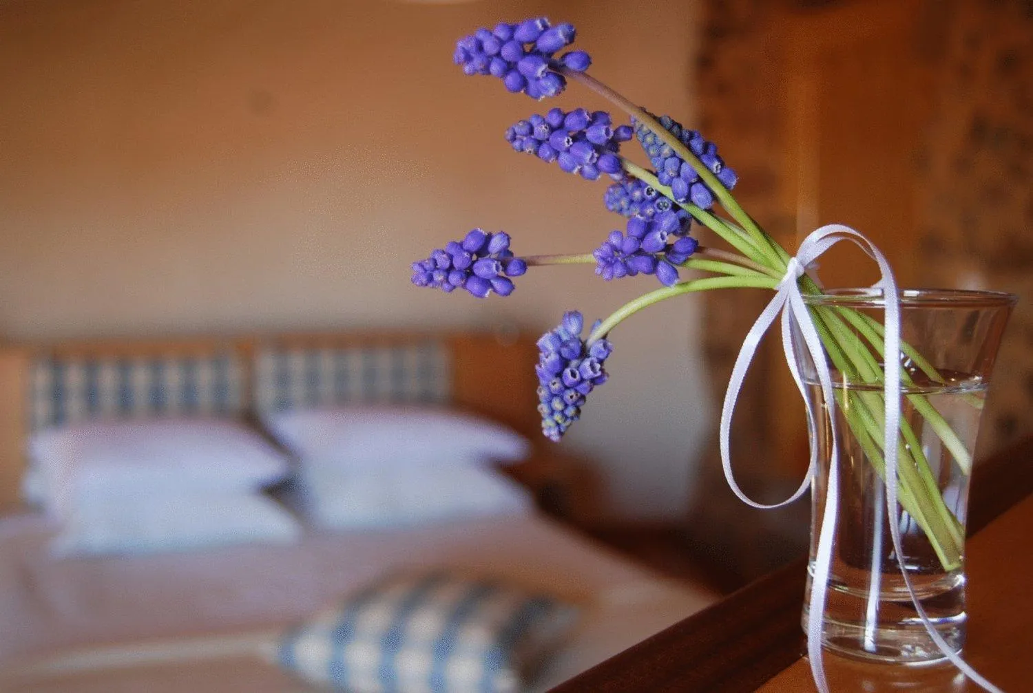 Suite in Casa da Cisterna