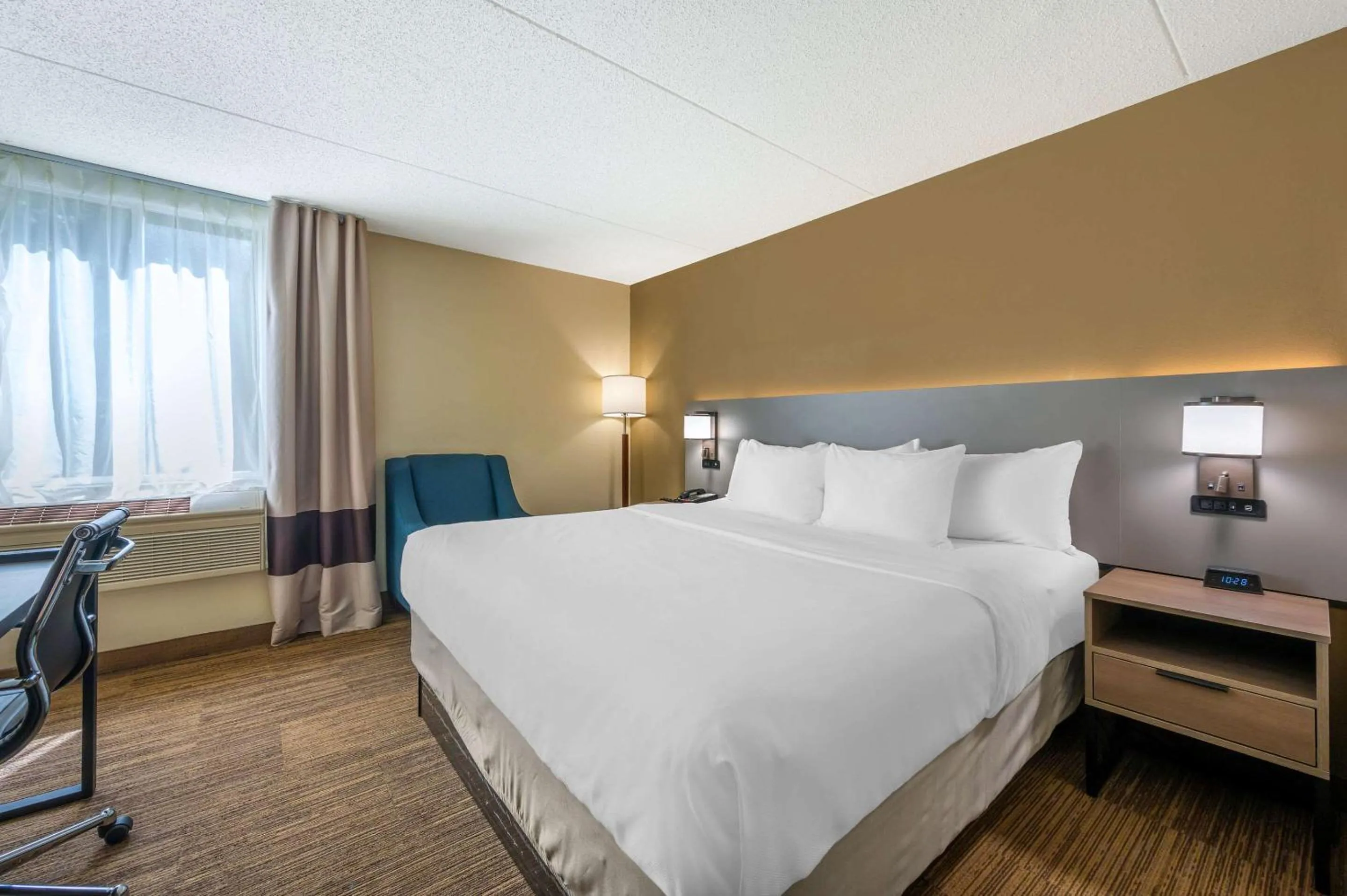 Standard King Suite - Mobility Accessible/Non-Smoking in Comfort Inn & Suites East Hartford - Hartford