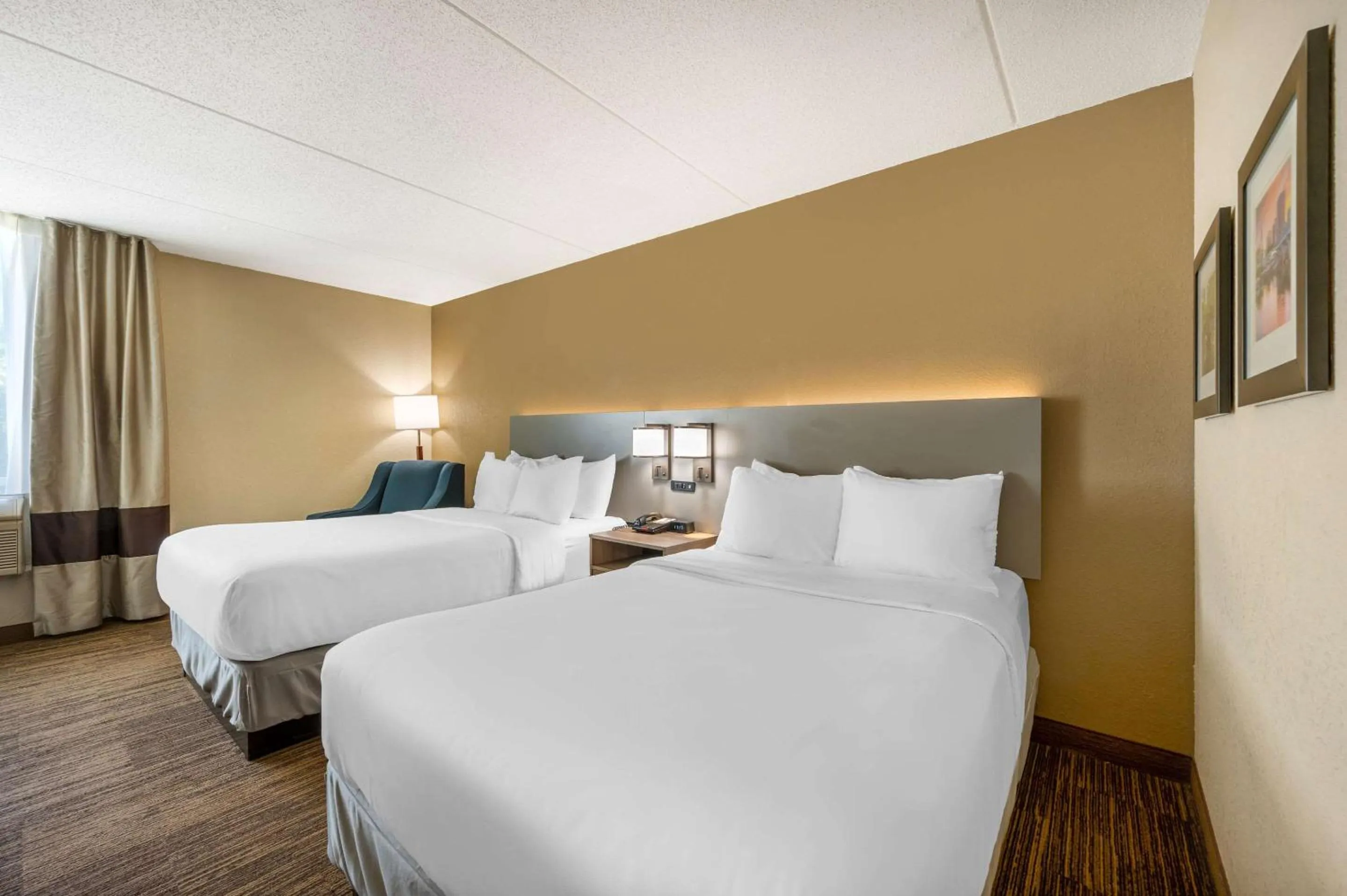 Double Room - Non-Smoking  in Comfort Inn & Suites East Hartford - Hartford