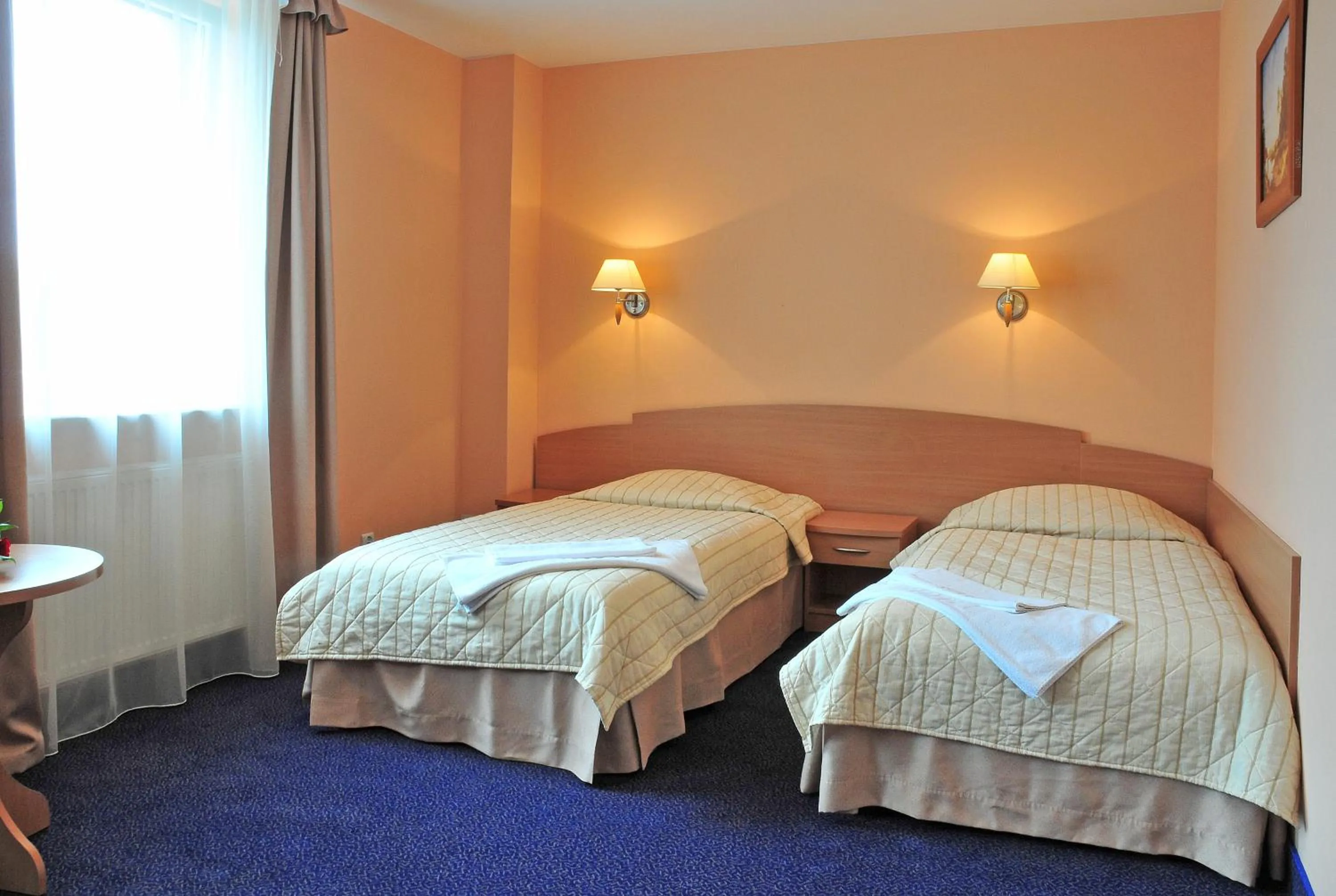 Double Room - Disability Access in Hotel Wodnik