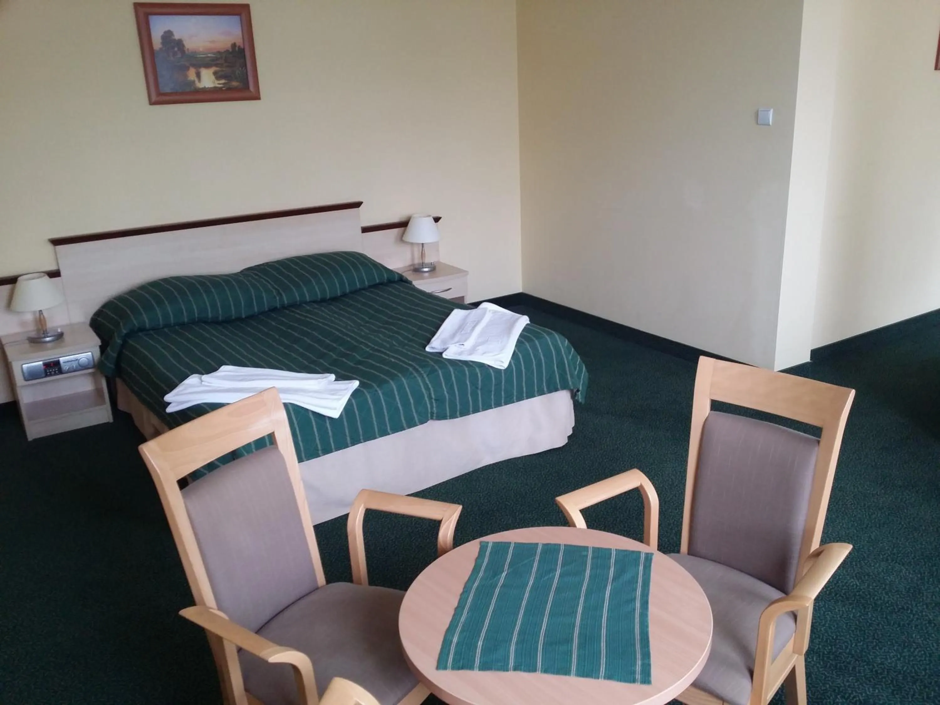 Standard Apartment - single occupancy in Hotel Wodnik