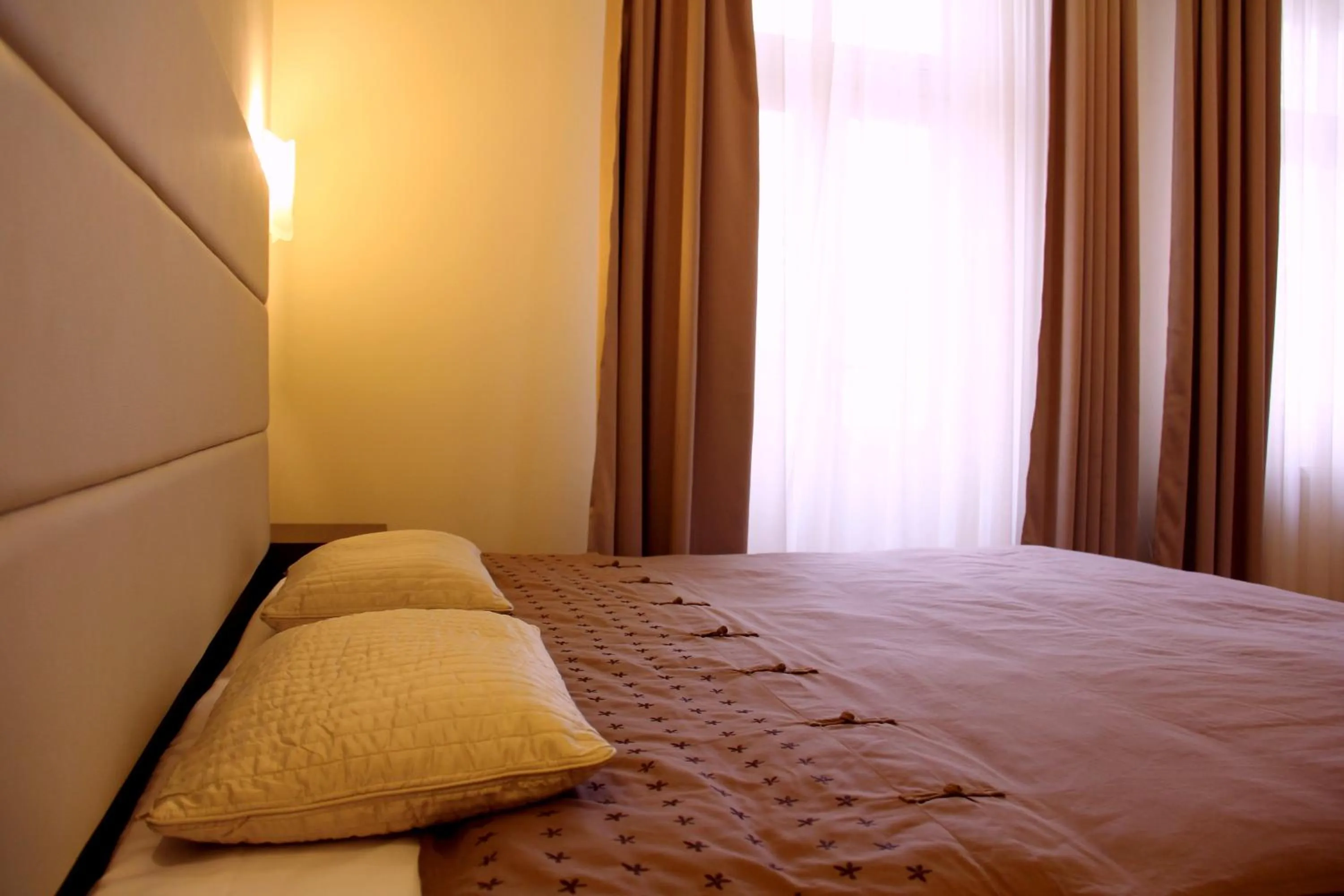 Double Room in Hotel Trevi