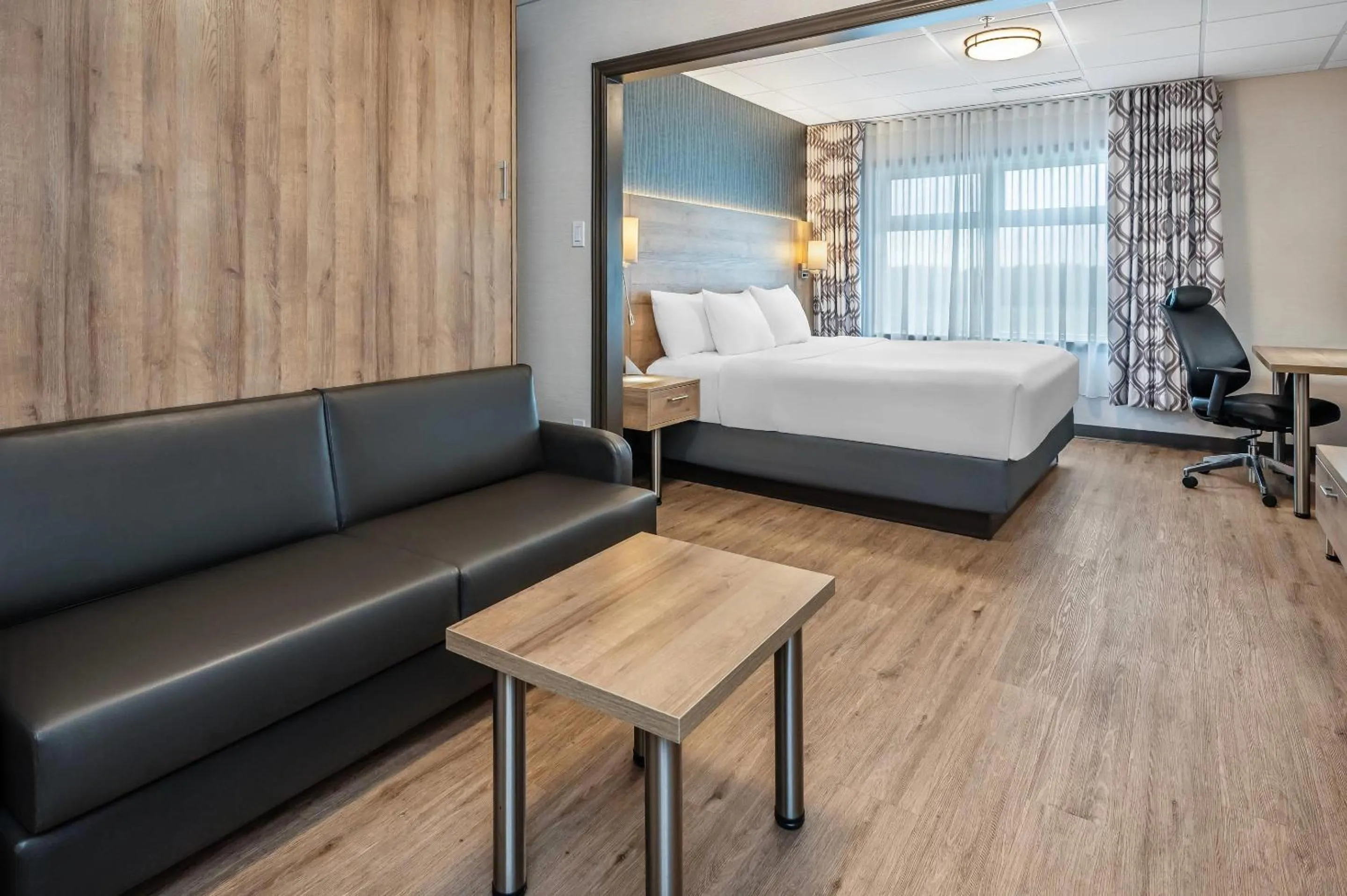 Suite with King Bed and Queen Wall Bed in Quality Suites