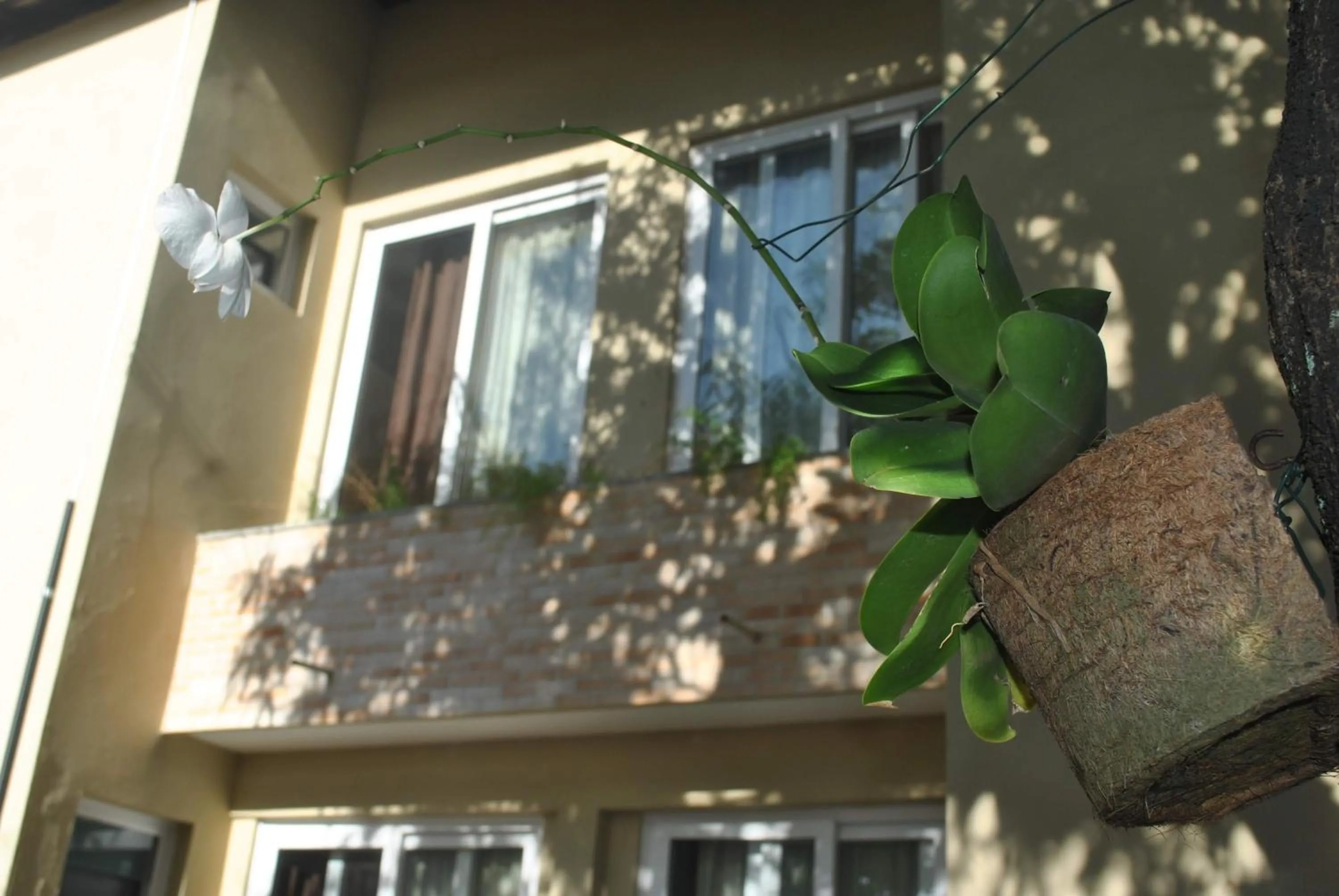 Standard Plus Room in Hotel Pousada do Sol