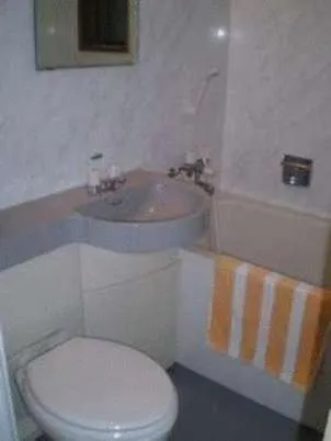 Japanese-Style Room with Private Bathroom - single occupancy in Ikawa Ryokan