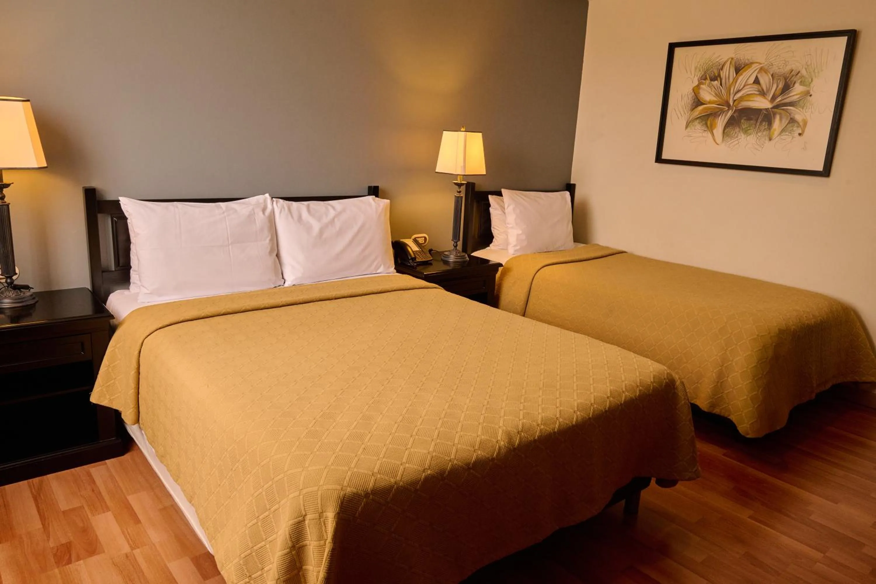 Standard Twin Room in Hotel Dann Av. 19