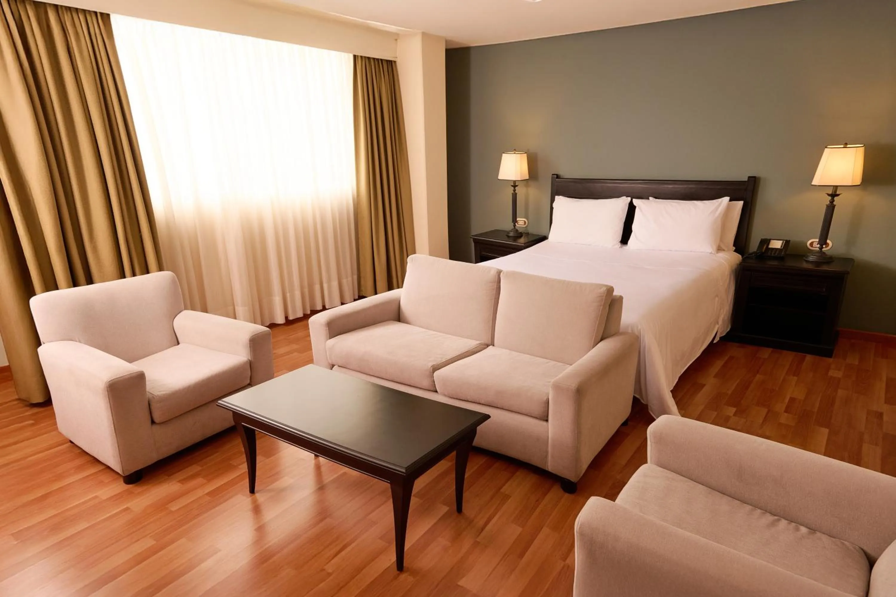 Superior Double Room in Hotel Dann Av. 19