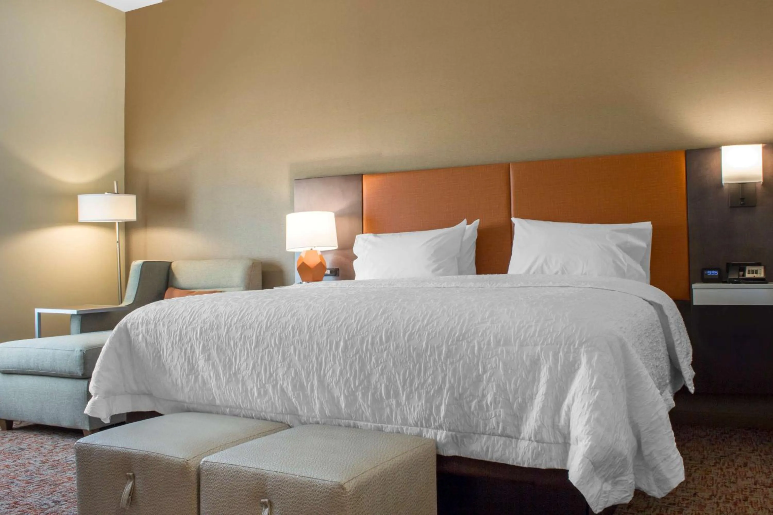 King Room with Sofa Bed - Non-Smoking in Hampton Inn Parker, AZ