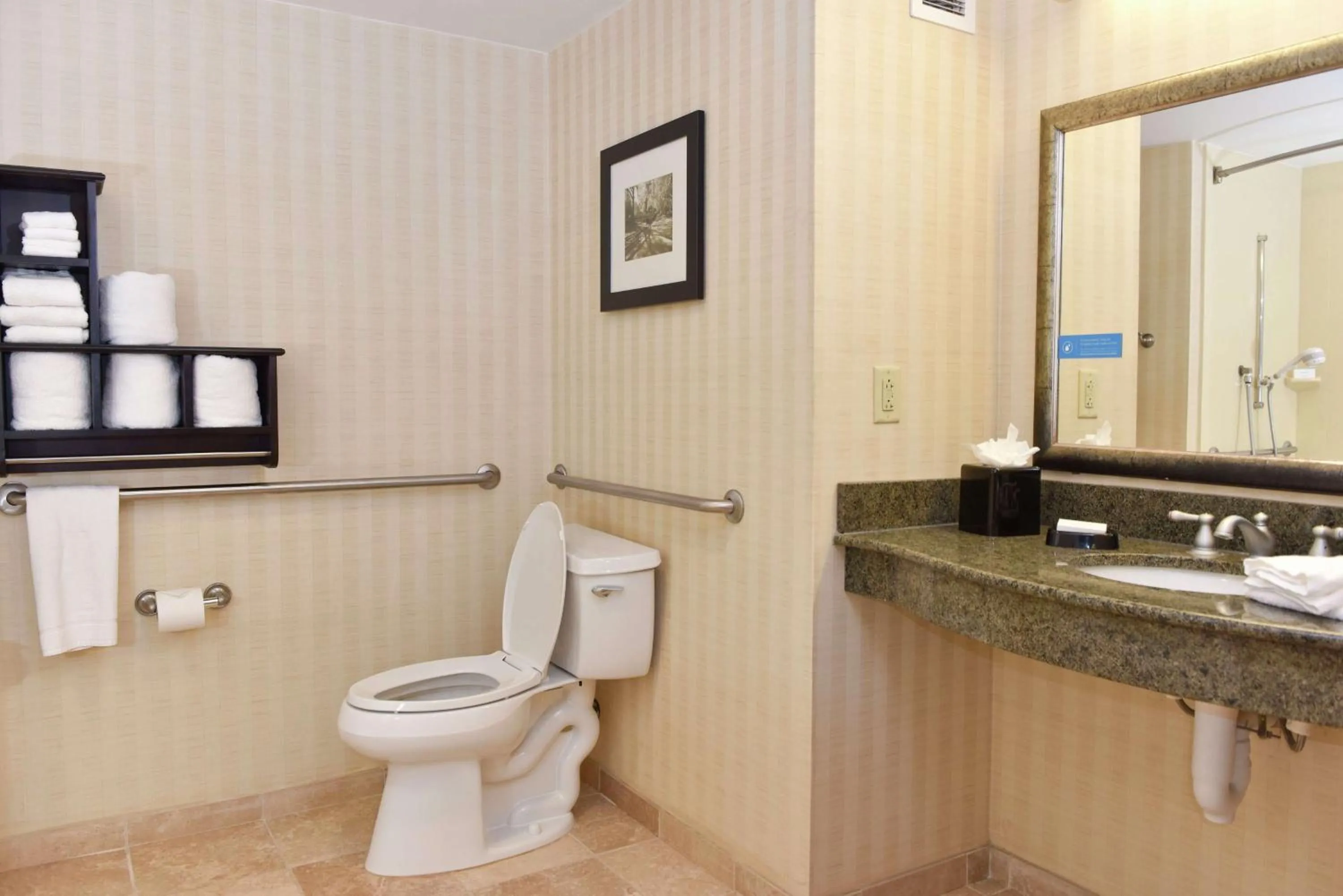 Queen Room with Two Queen Beds - Mobility Access/Non-Smoking in Hampton Inn & Suites Alexandria