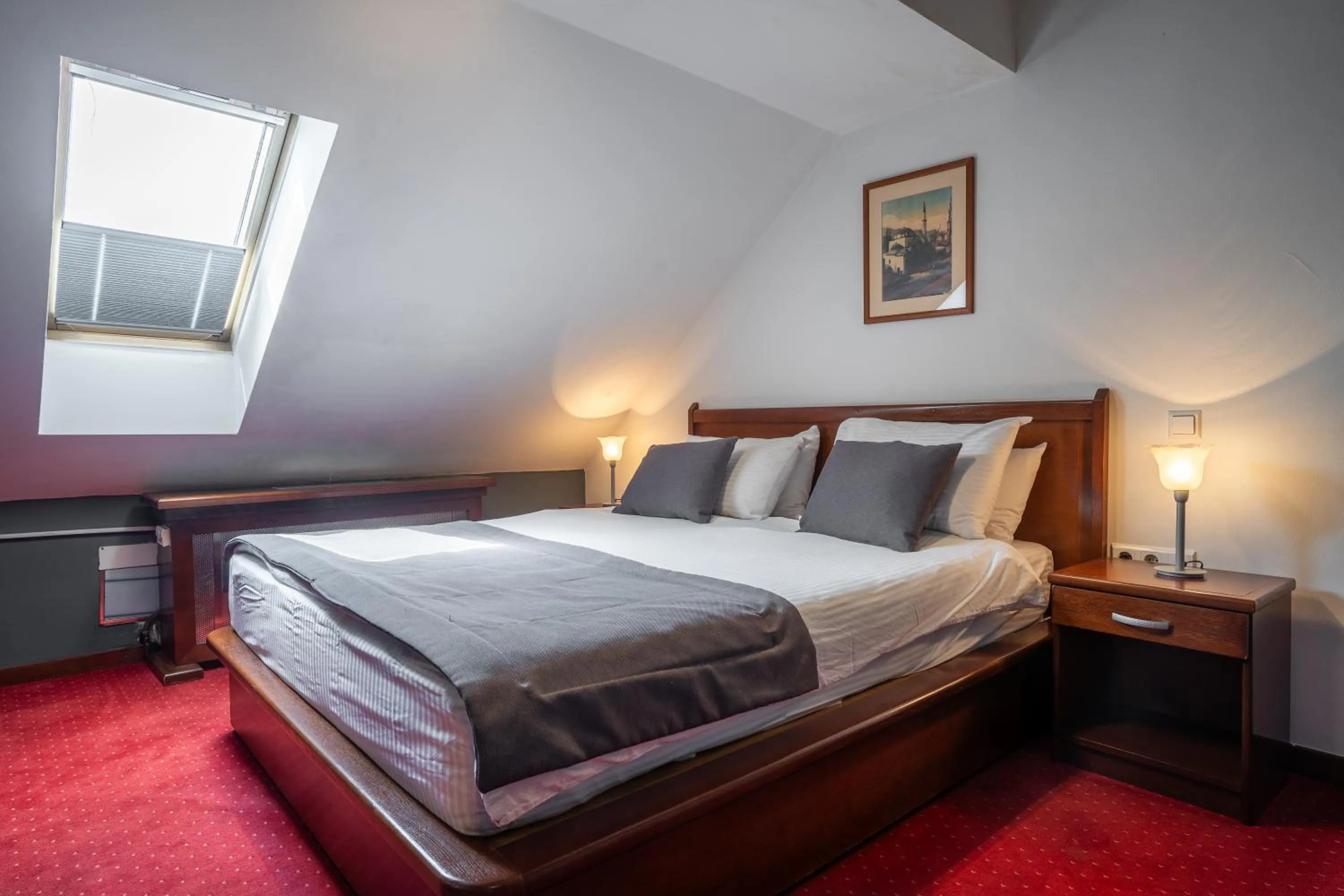 Standard Double Room - single occupancy in Hotel Astra