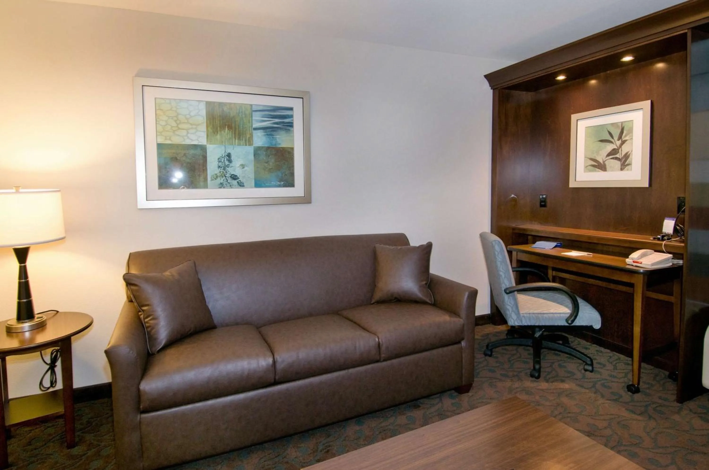 King Studio Suite with Sofa Bed - Non-Smoking in Hampton Inn Pampa