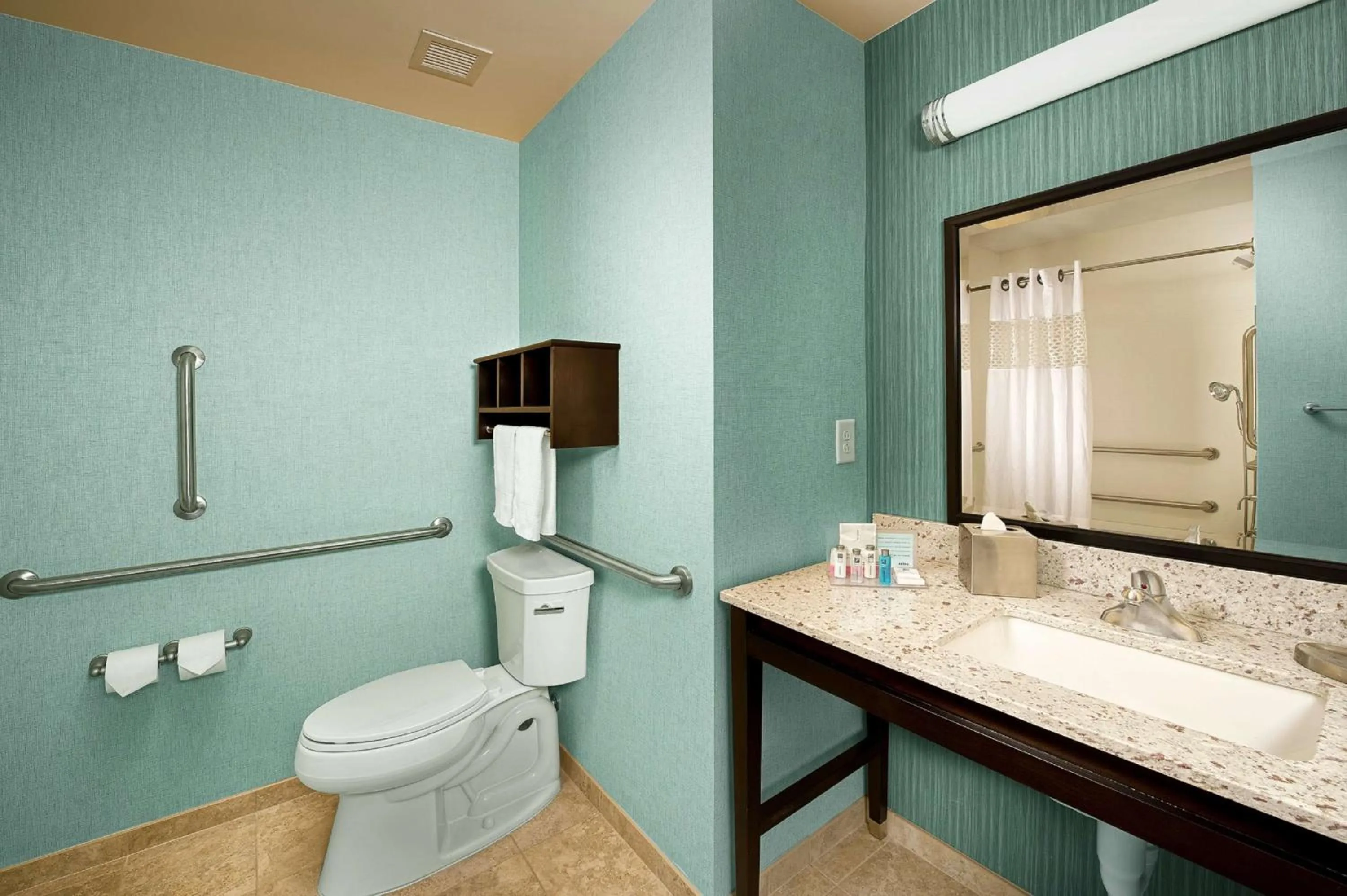 King Room with Accessible Tub - Mobility and Hearing Access/Non-Smoking in Hampton Inn Pampa