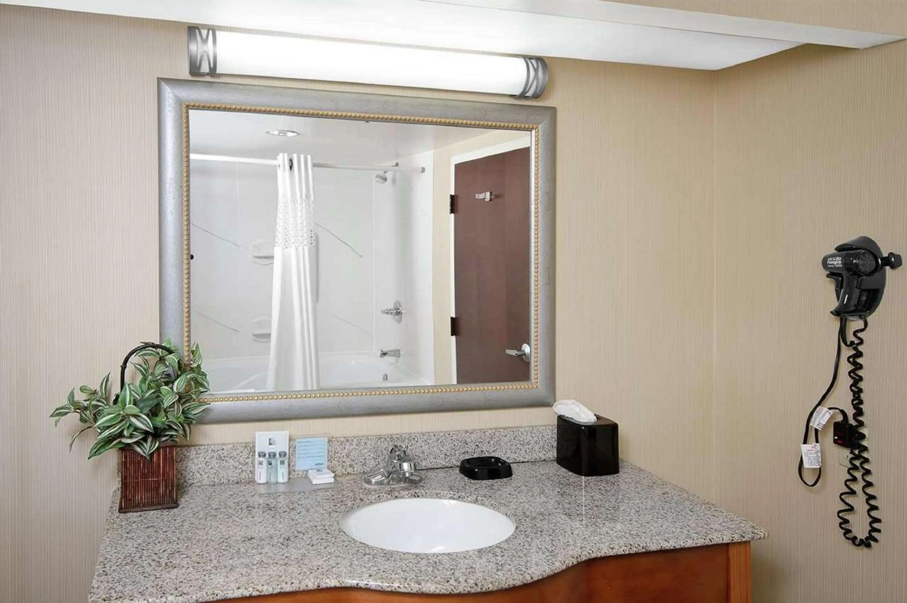 Queen Room with Sofa Bed - Non-Smoking in Hampton Inn Asheboro