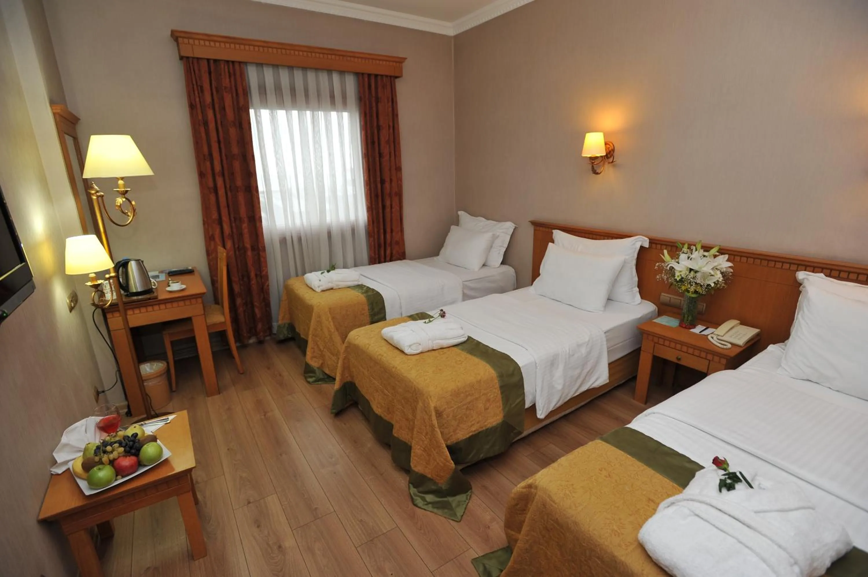 Economy Triple Room in Usta Park Hotel