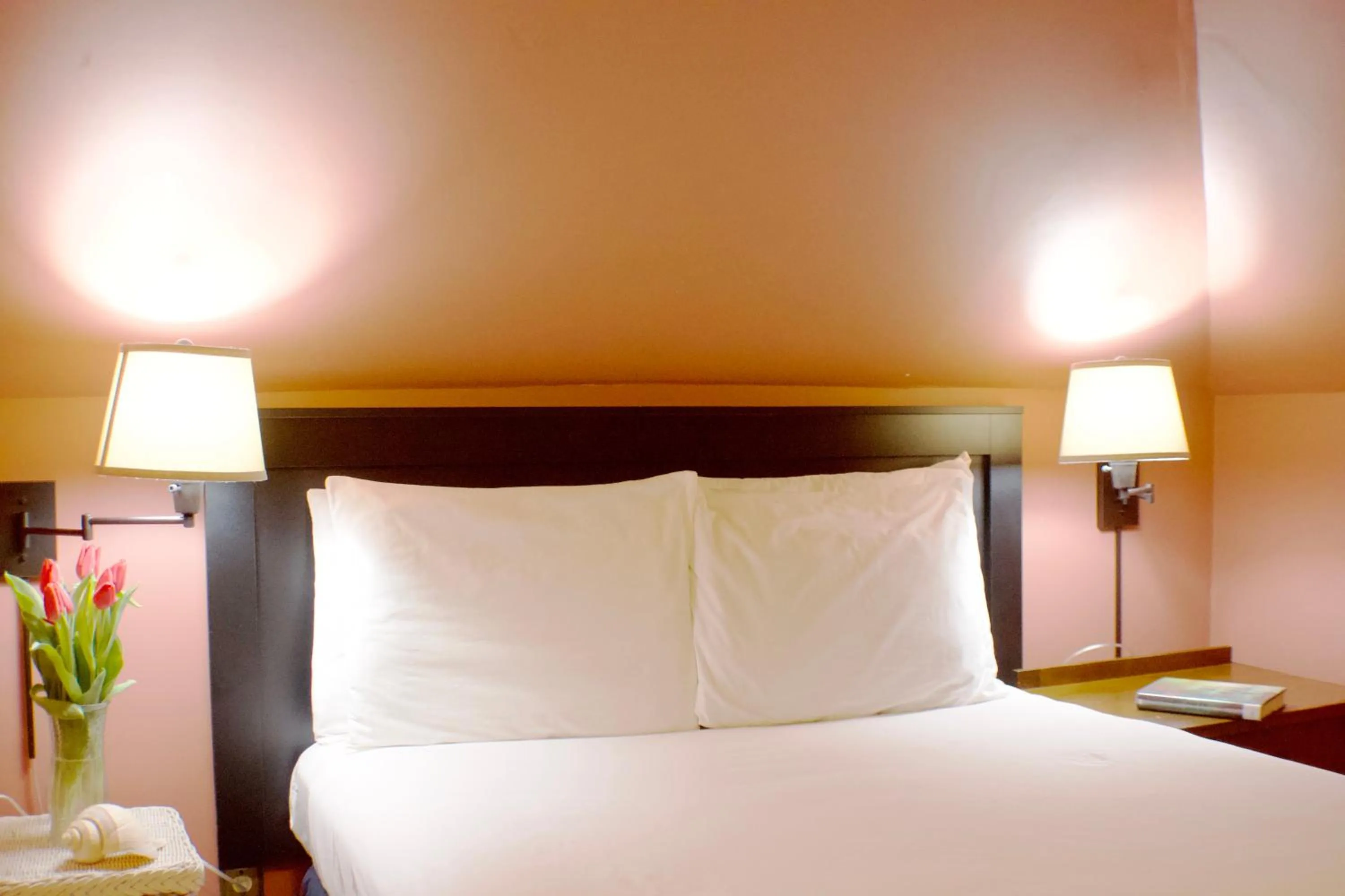 Double Room with Private External Bathroom in Carisbrooke Inn Bed & Breakfast