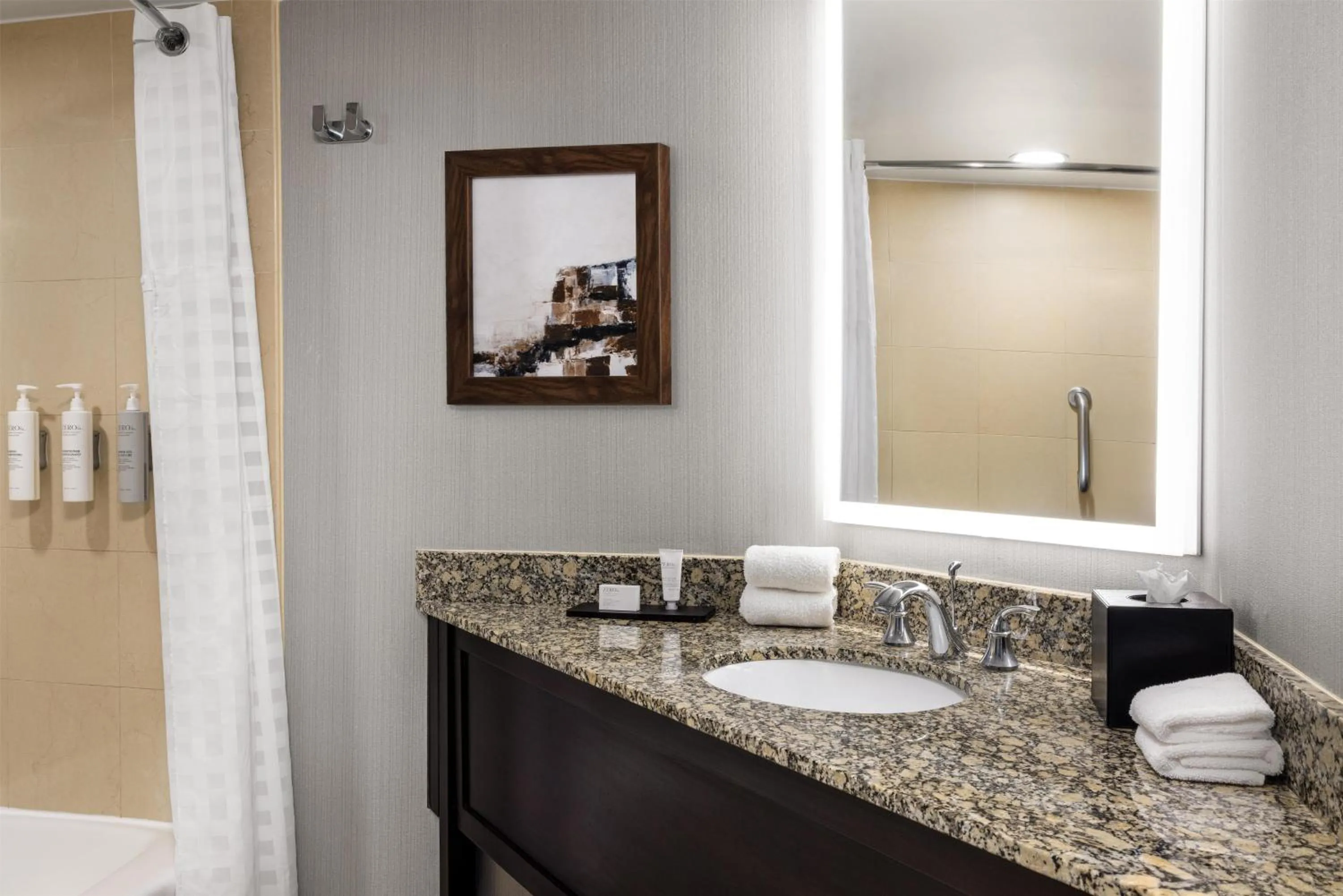 Suite with Two Queen Beds - Non-Smoking in Embassy Suites Birmingham