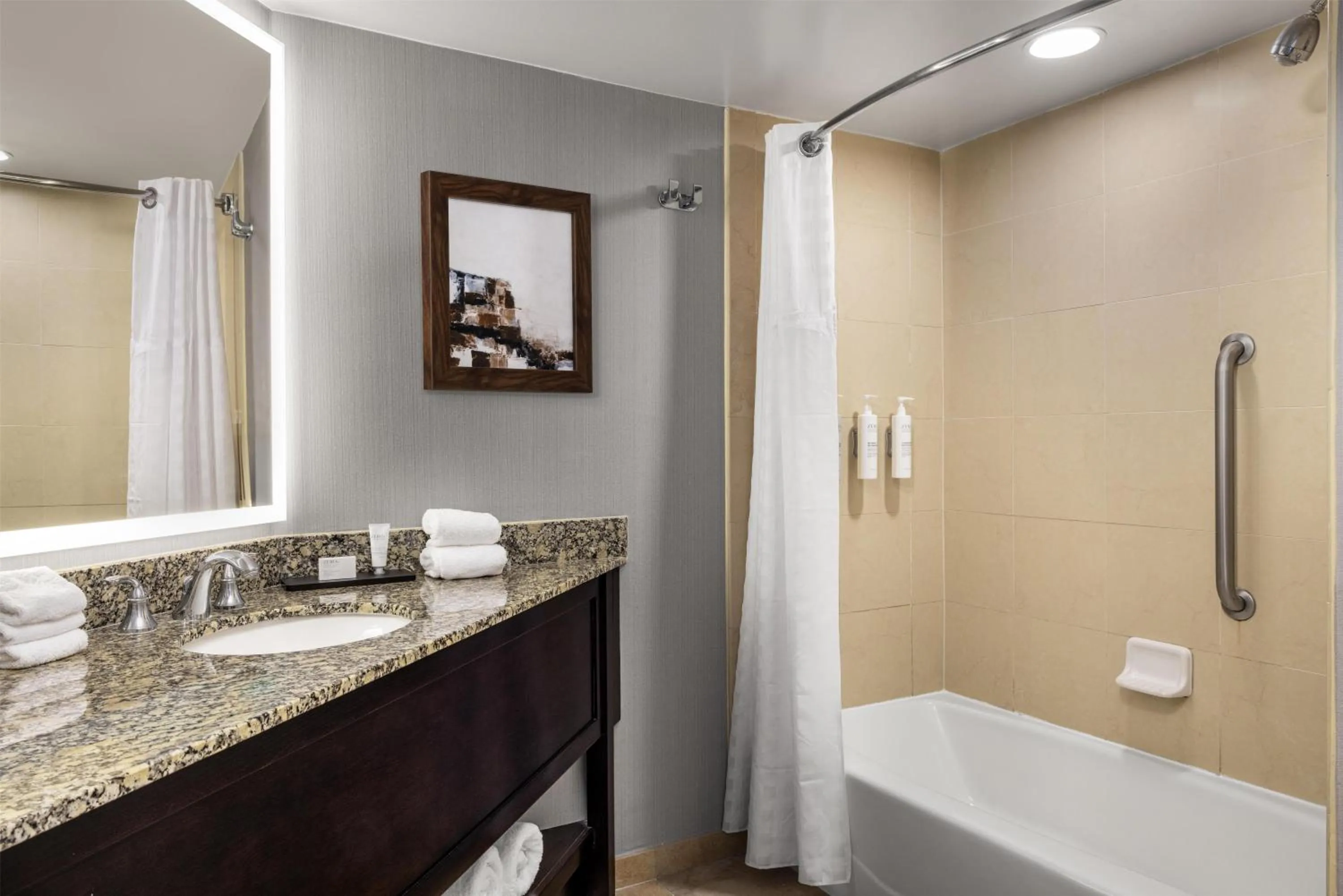 Premium King Suite - Mobility and Hearing Access/Non-Smoking in Embassy Suites Birmingham