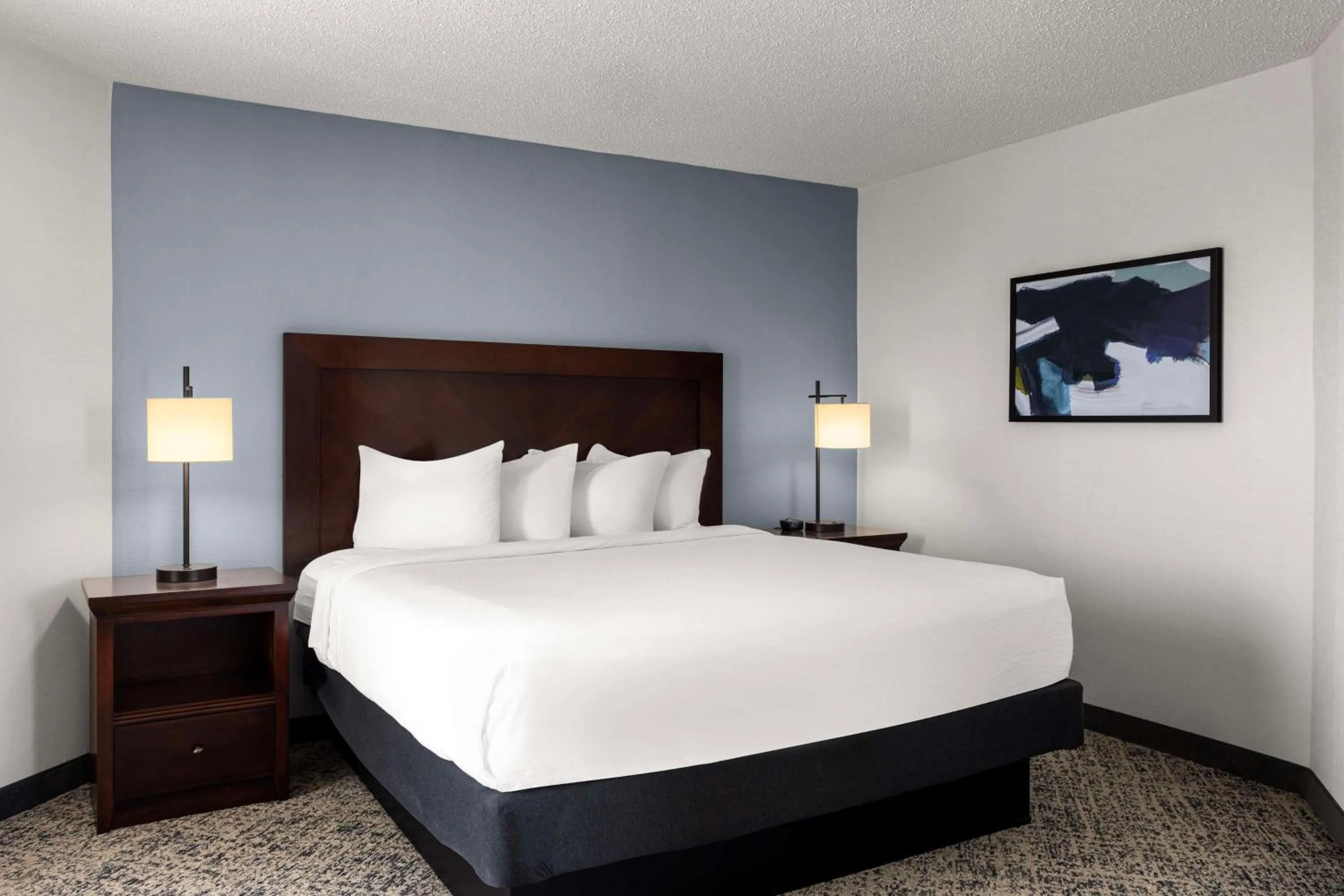 Premium King Suite in Embassy Suites Birmingham