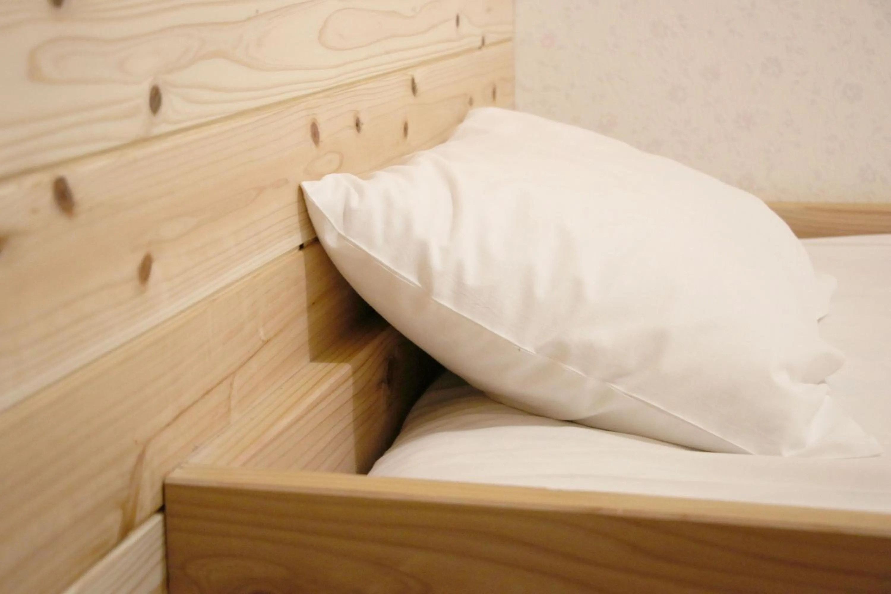 Single Room - single occupancy in Ikkyu for Backpackers 19