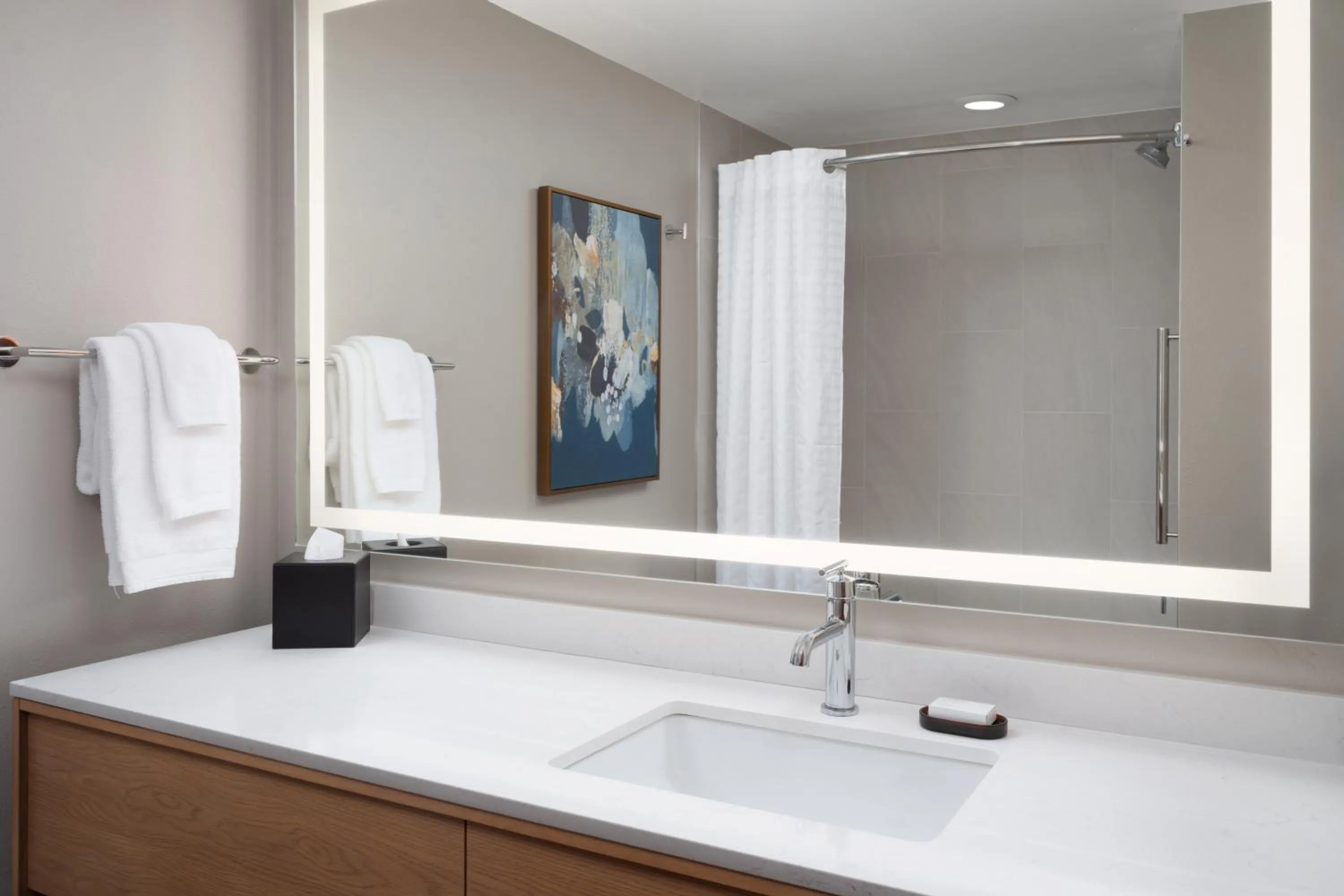 Premium Double Suite in Embassy Suites by Hilton Franklin Cool Spring