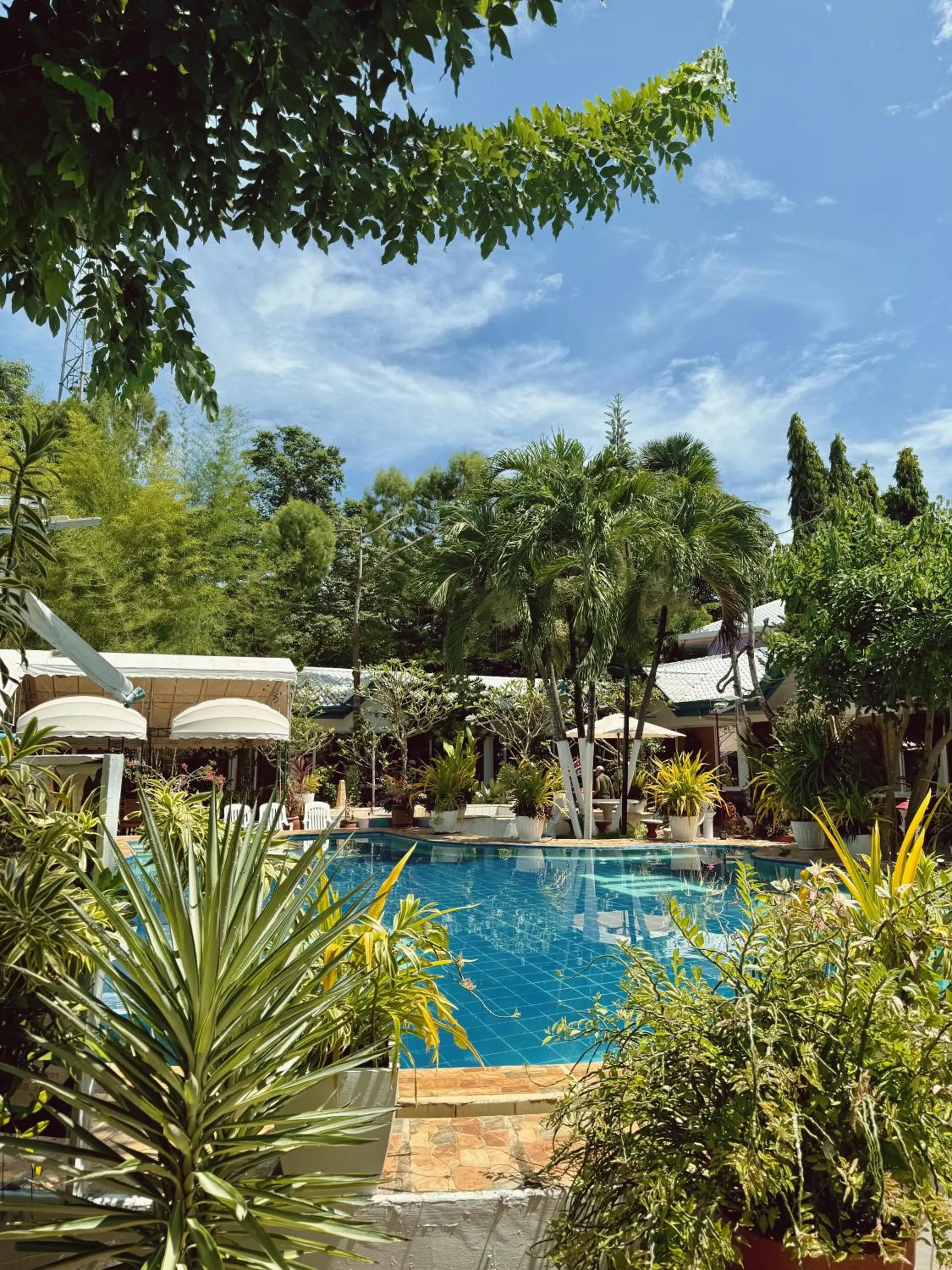 Queen Room in Deep Forest Garden Hotel