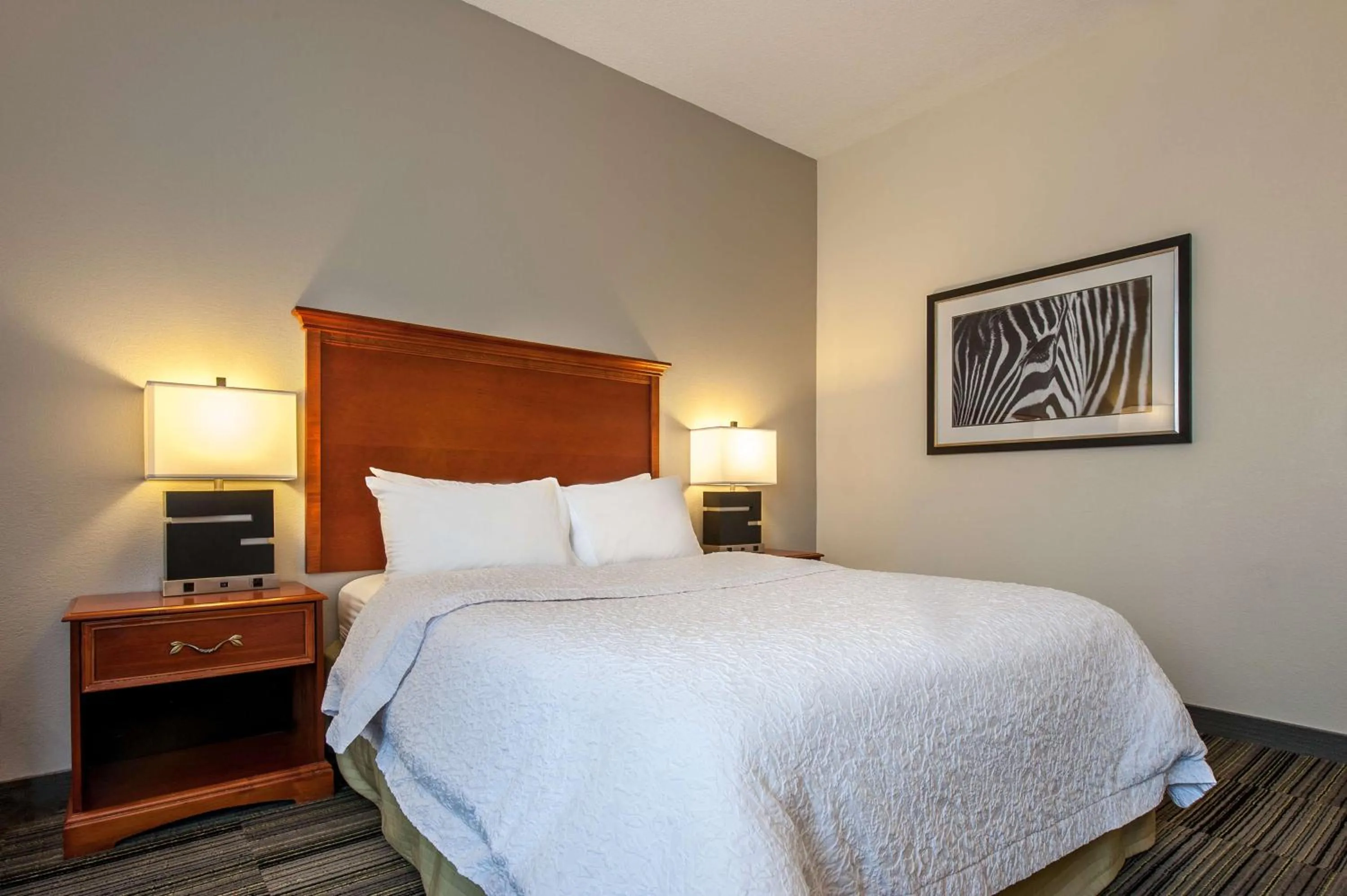 Queen Room - Non-Smoking in Hampton Inn Bowling Green KY