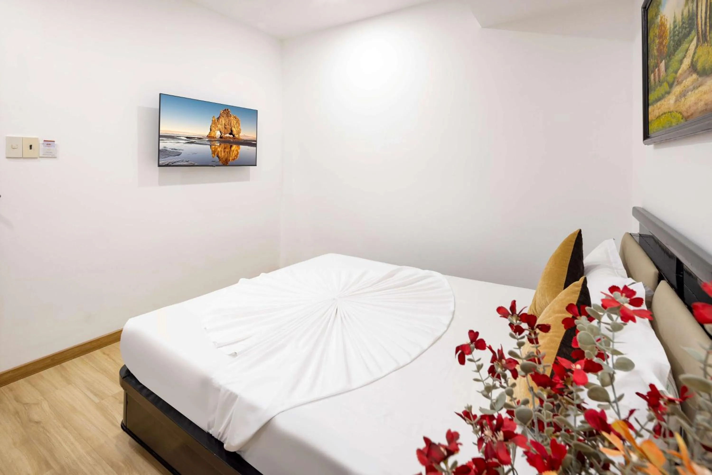 Economy Single - No Window  in The Summer Hotel