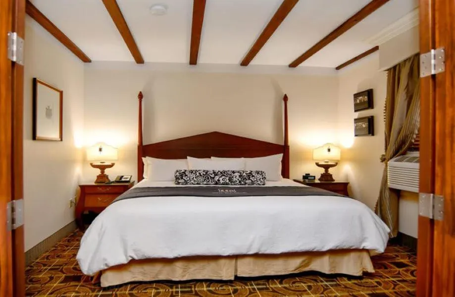 Junior Suite in Brand Plaza Hotel