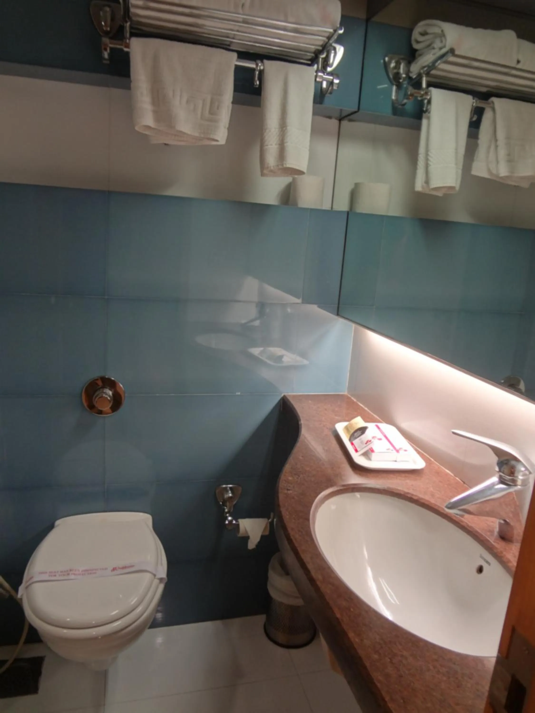 Classic Double Room in The Oriental Residency