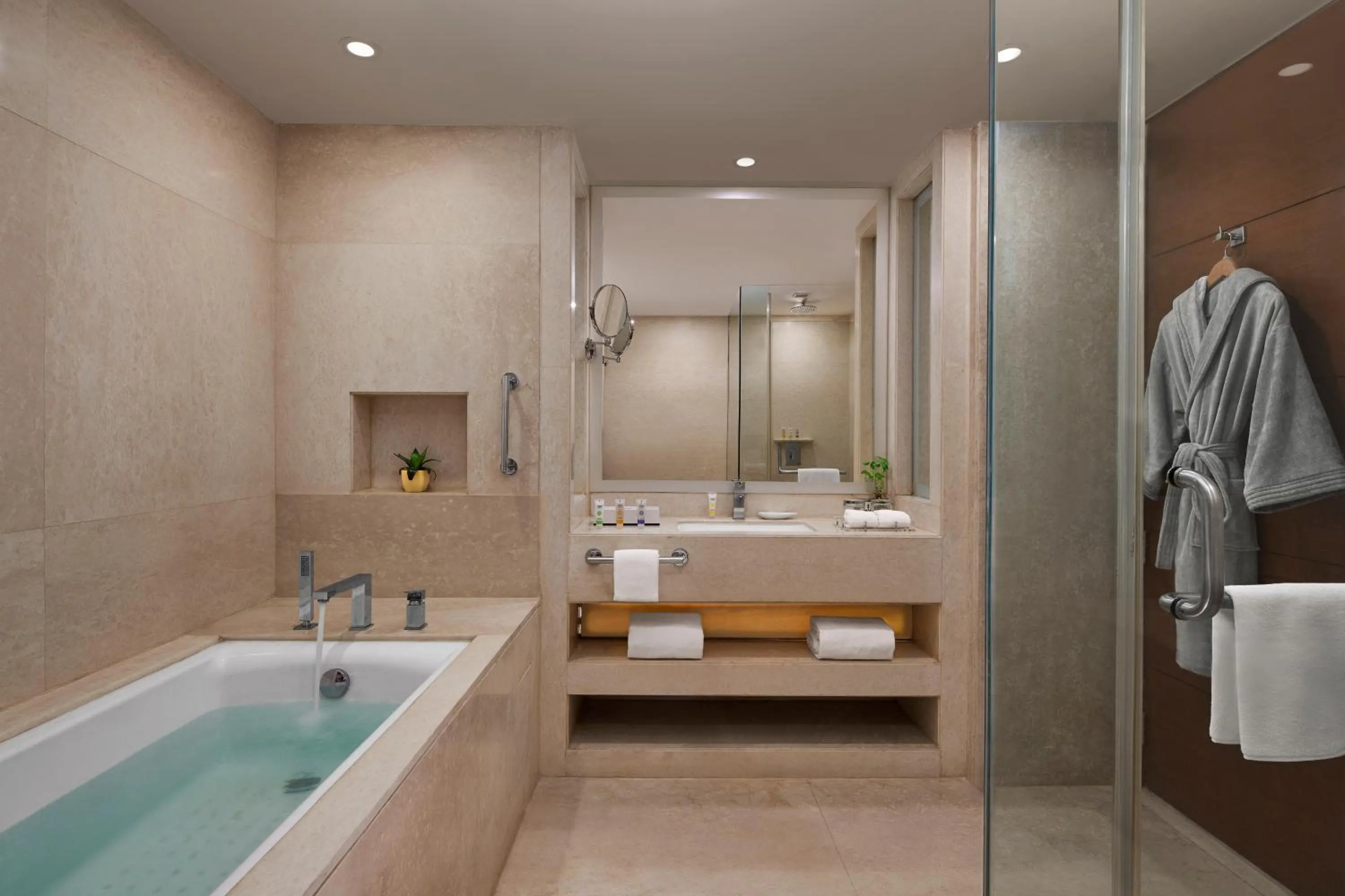 Deluxe Suite - single occupancy in Hyatt Centric Janakpuri New Delhi