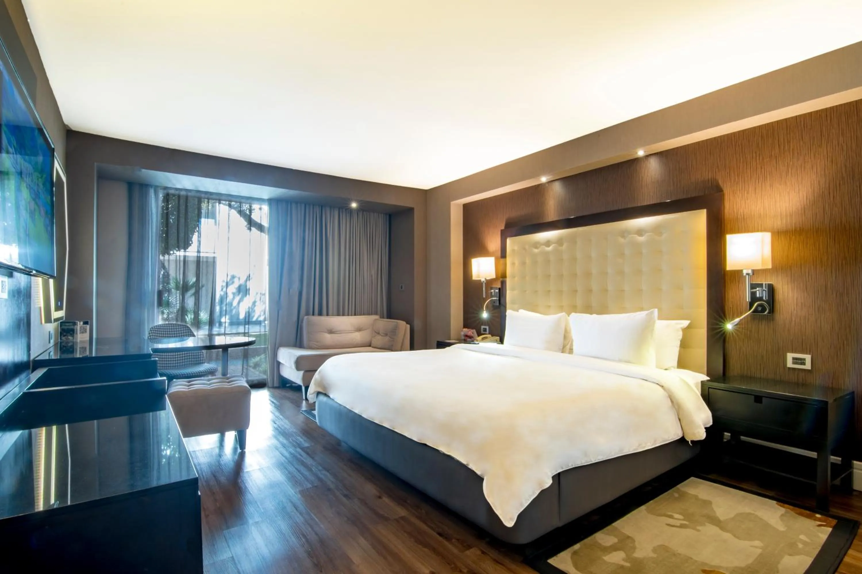 Deluxe King Room in Hotel Lucerna Tijuana