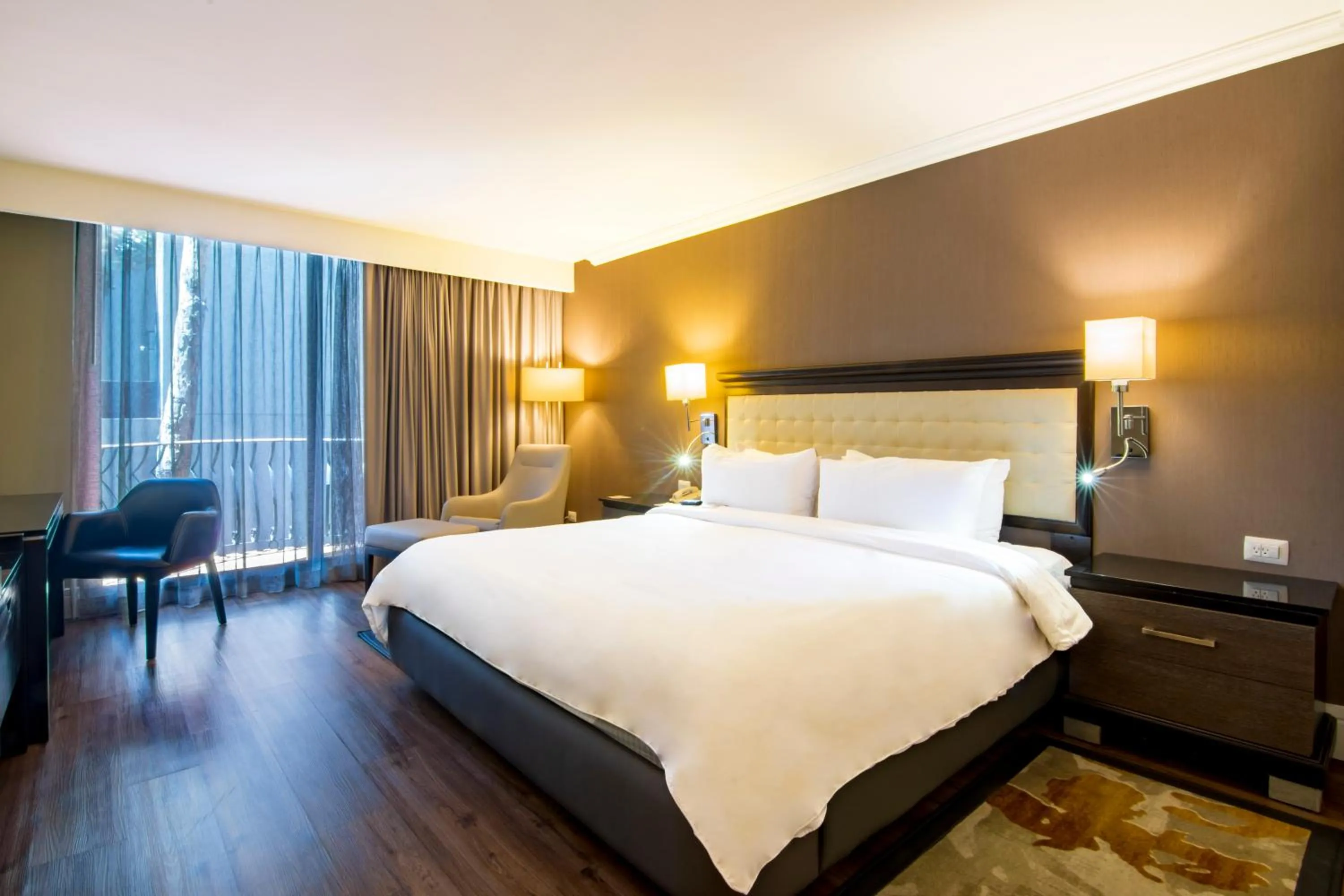 Executive King Room in Hotel Lucerna Tijuana